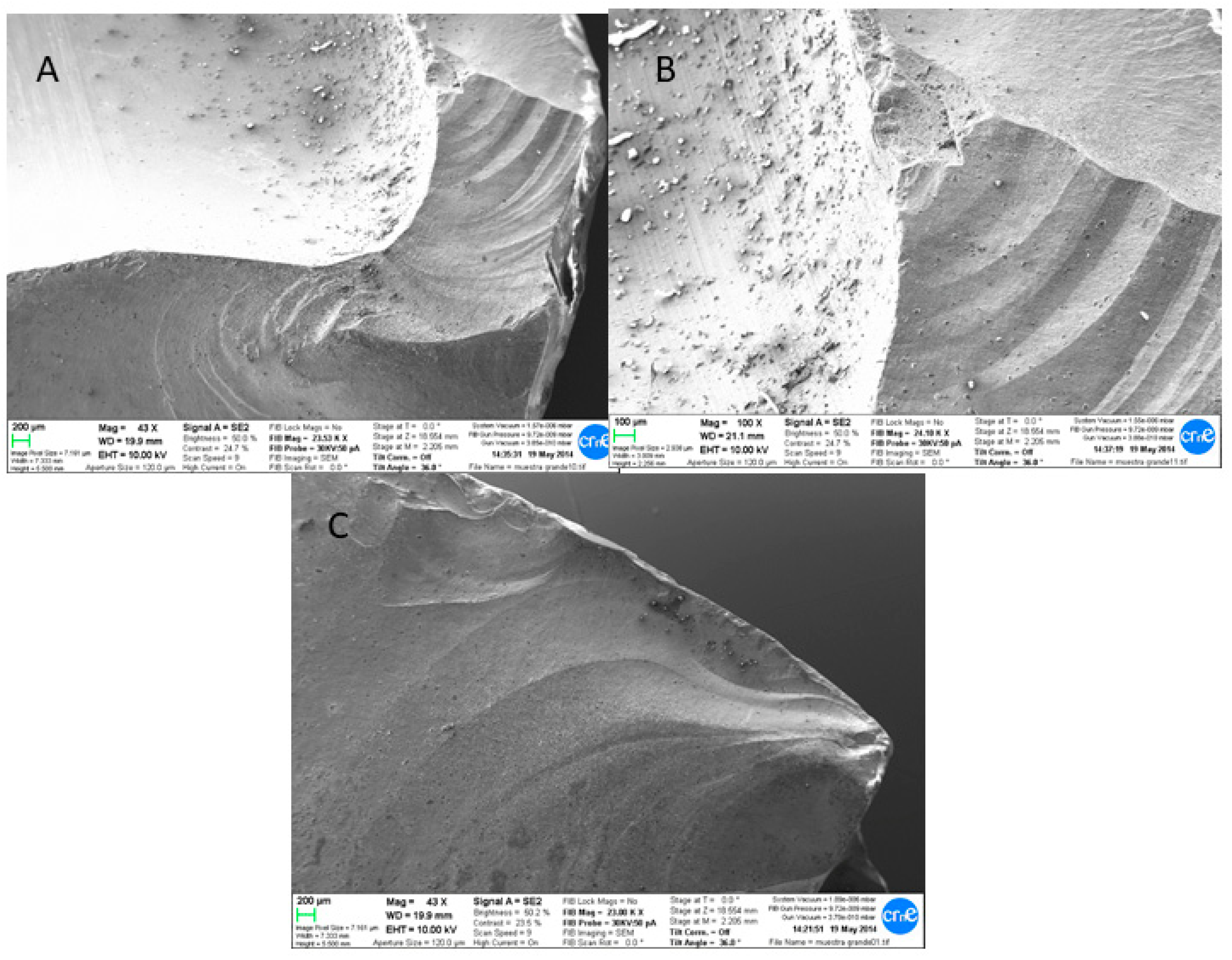 Materials 13 05318 g005 Materials 13 05318 g005