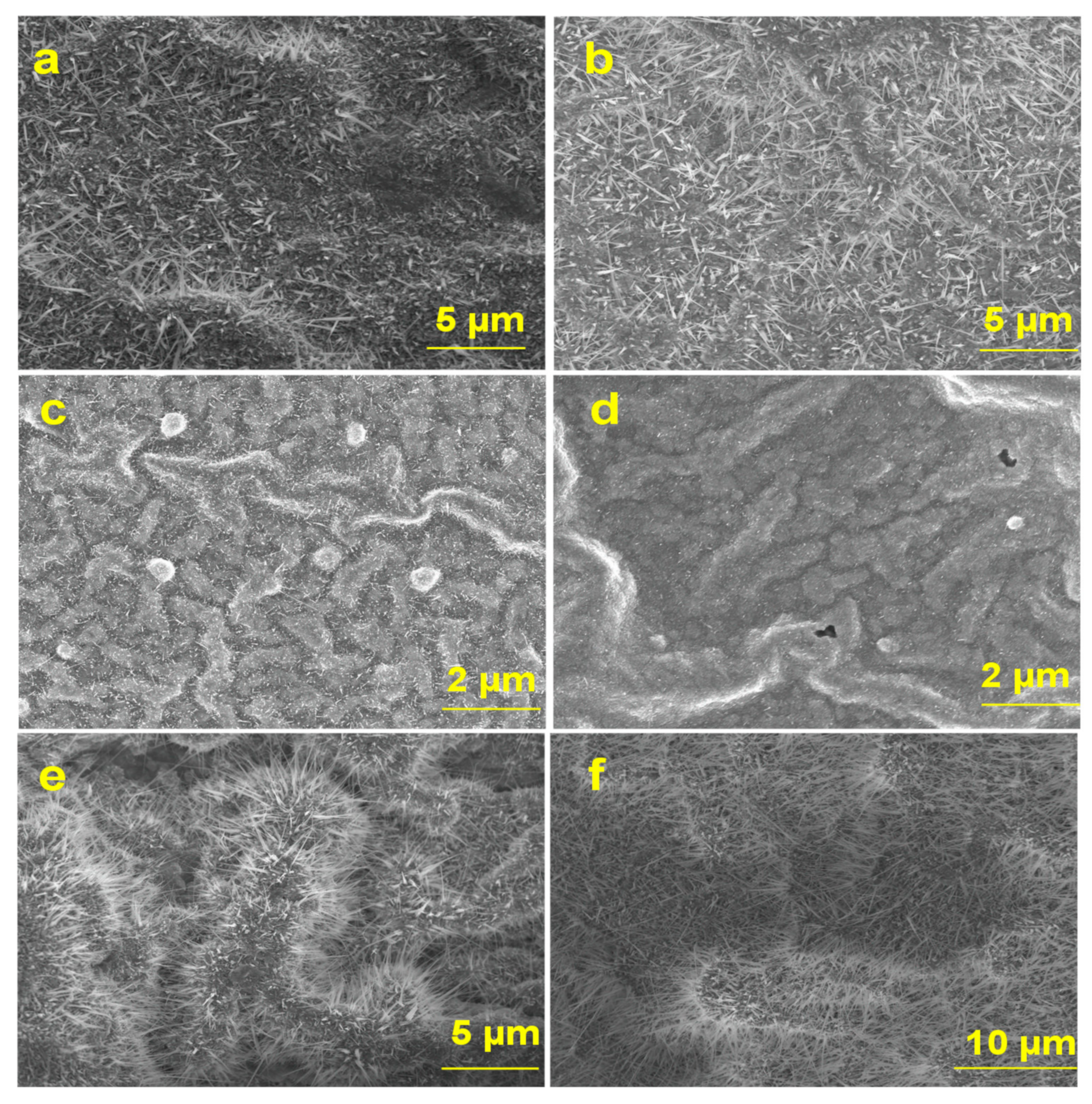 Materials 13 05377 g002