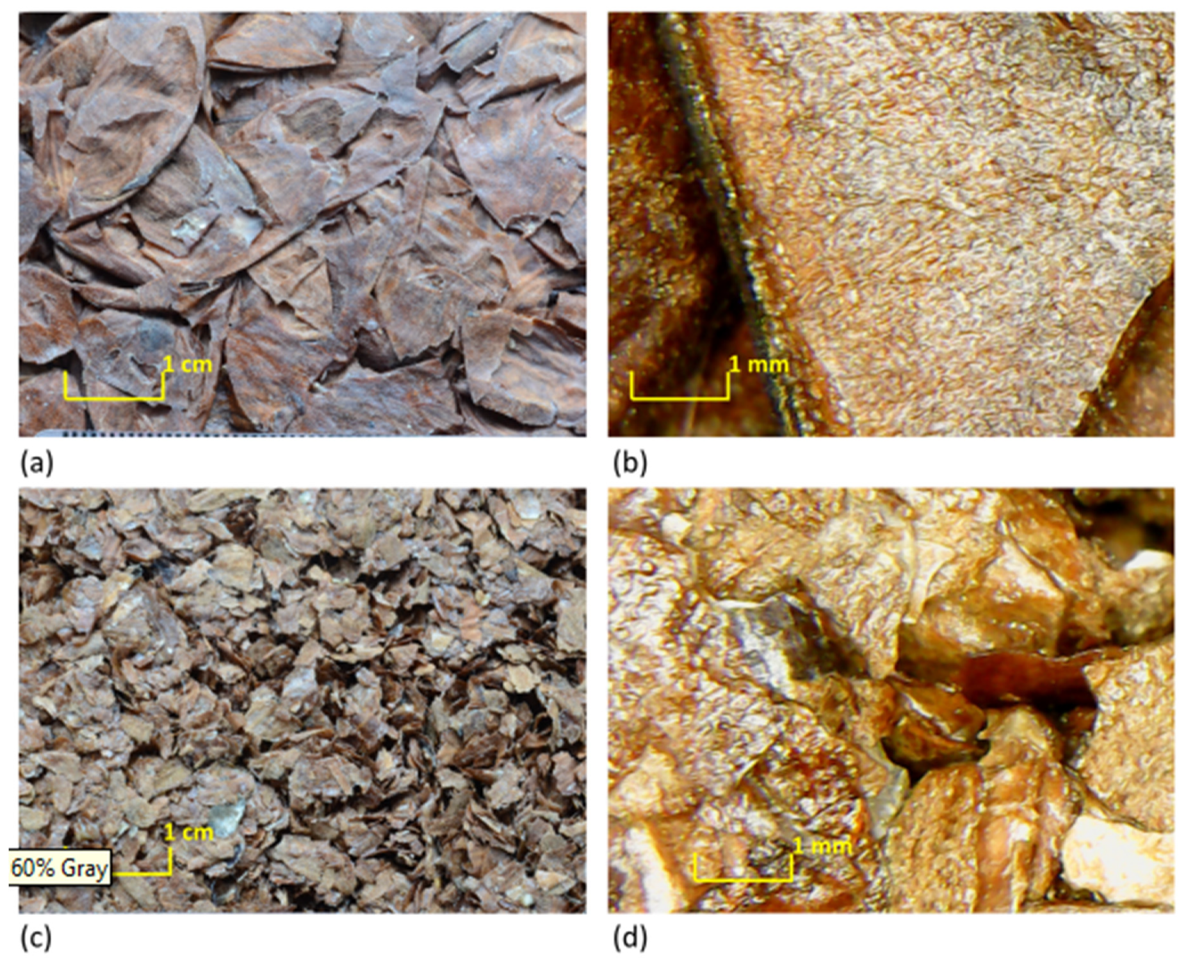 Materials 13 05474 g004 Materials 13 05474 g004