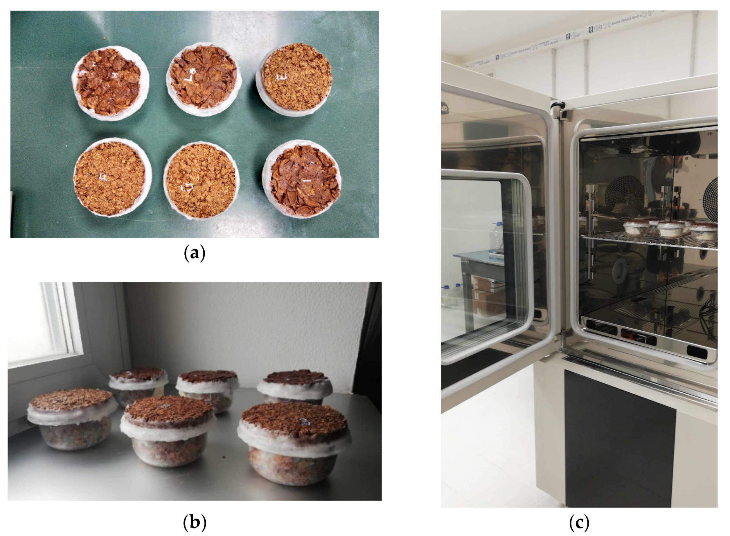 Materials 13 05474 g006 Materials 13 05474 g006