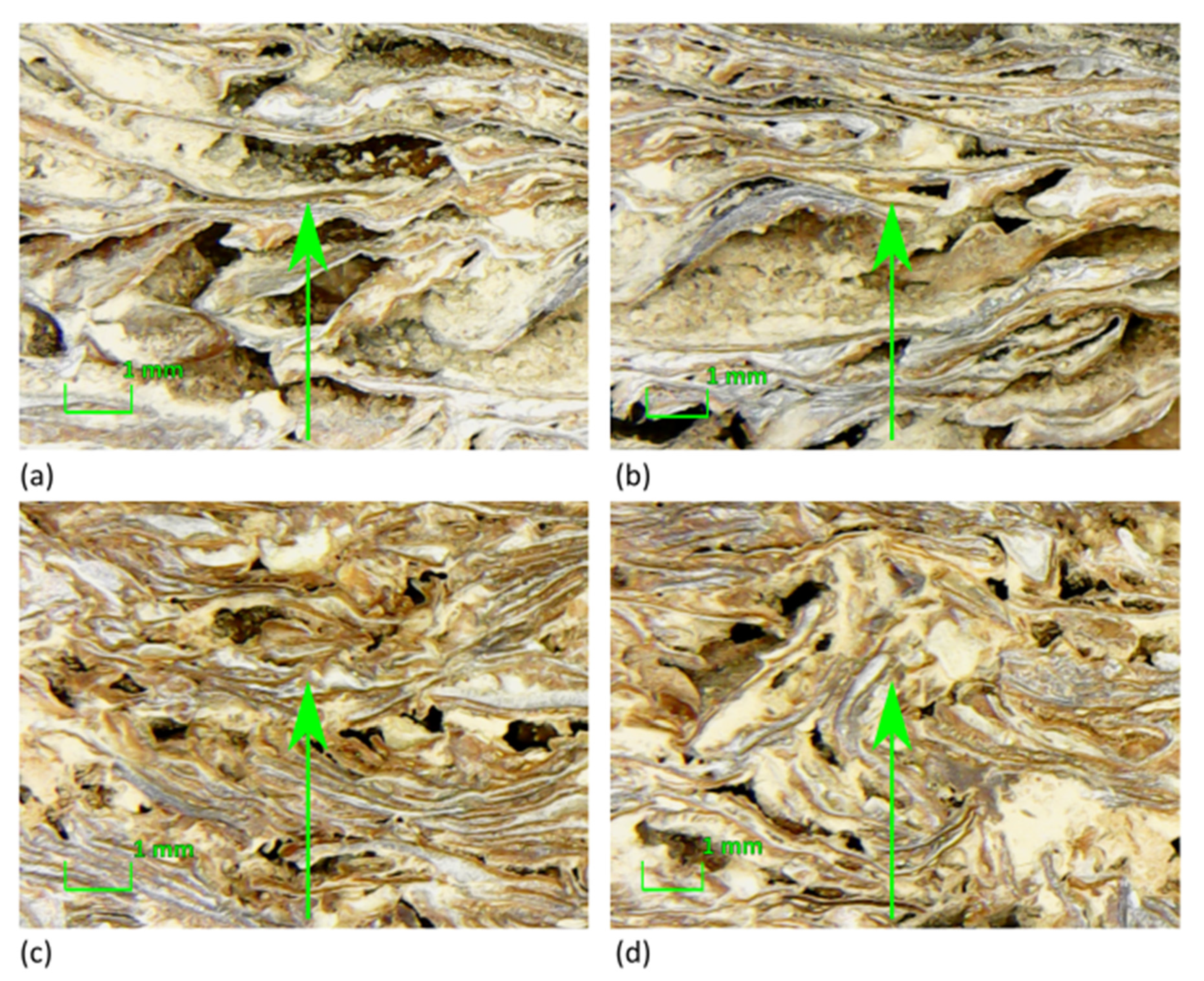 Materials 13 05474 g012 Materials 13 05474 g012