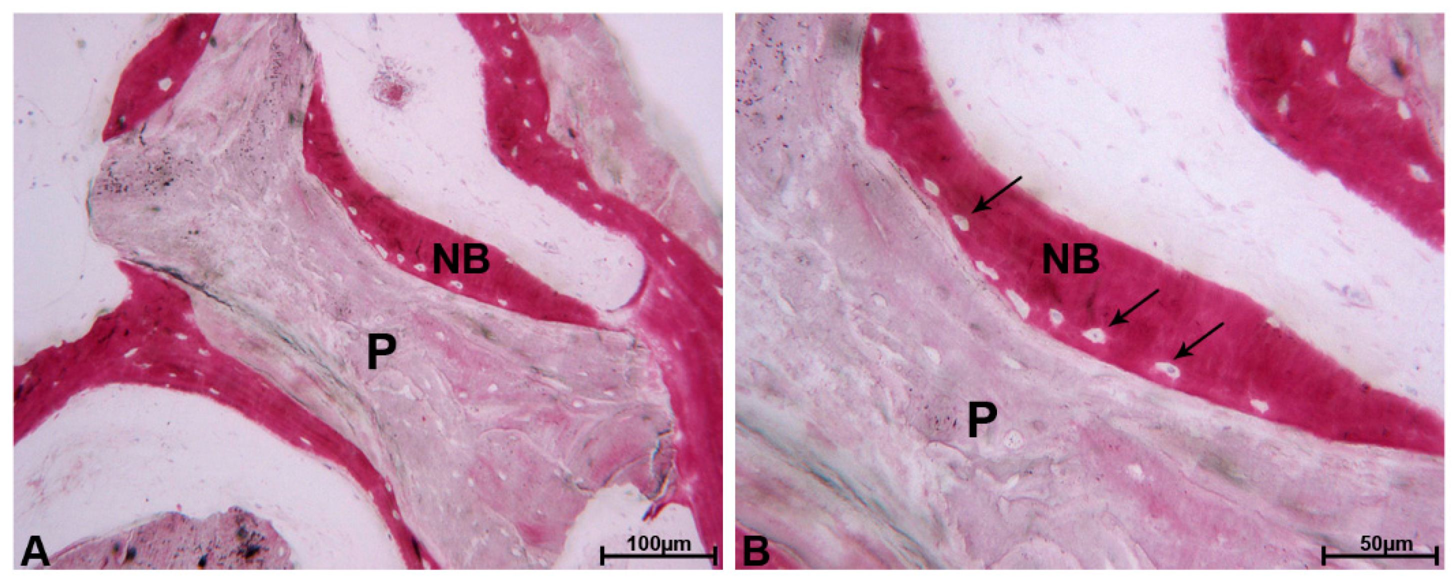 Materials 13 05520 g002 Materials 13 05520 g002