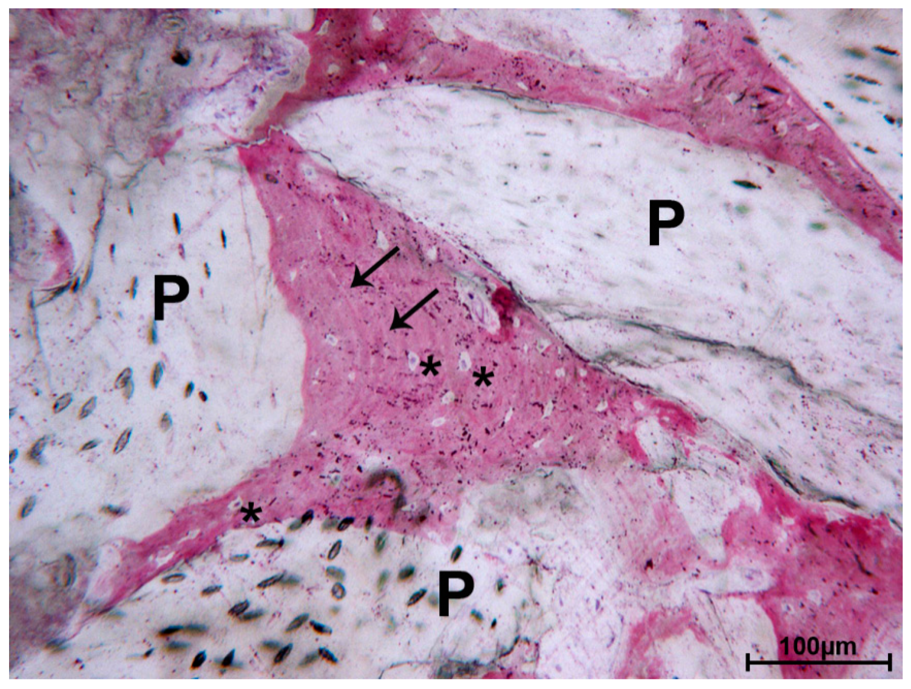 Materials 13 05520 g003 Materials 13 05520 g003