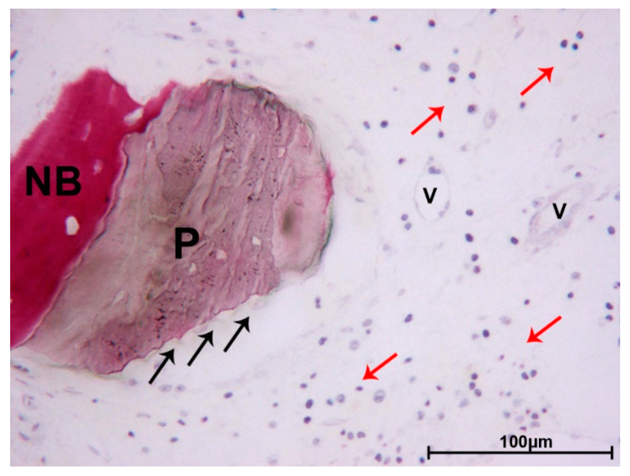 Materials 13 05520 g004 Materials 13 05520 g004