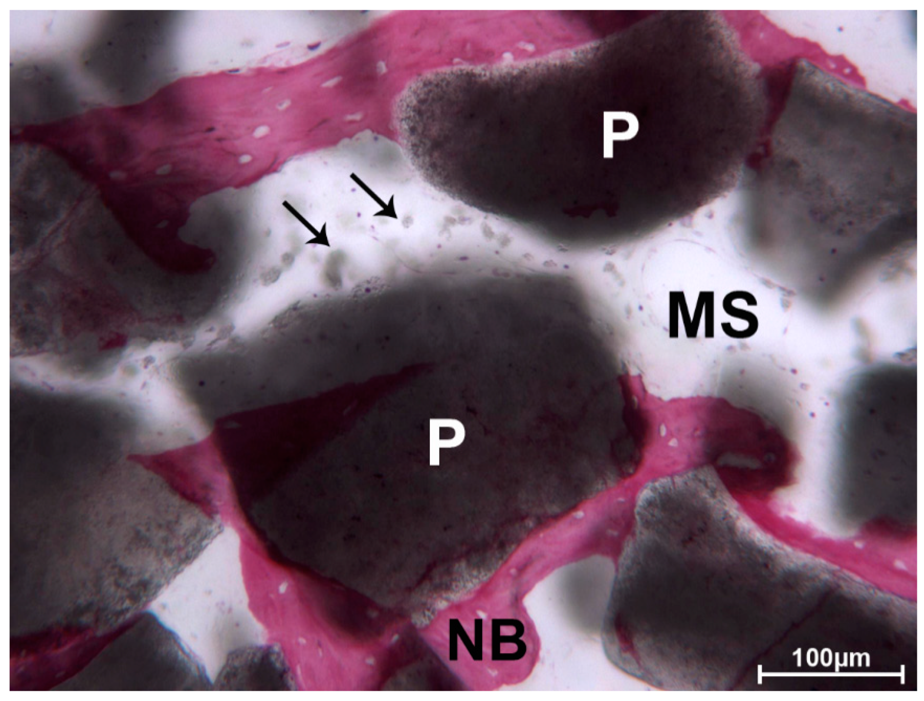Materials 13 05520 g007 Materials 13 05520 g007