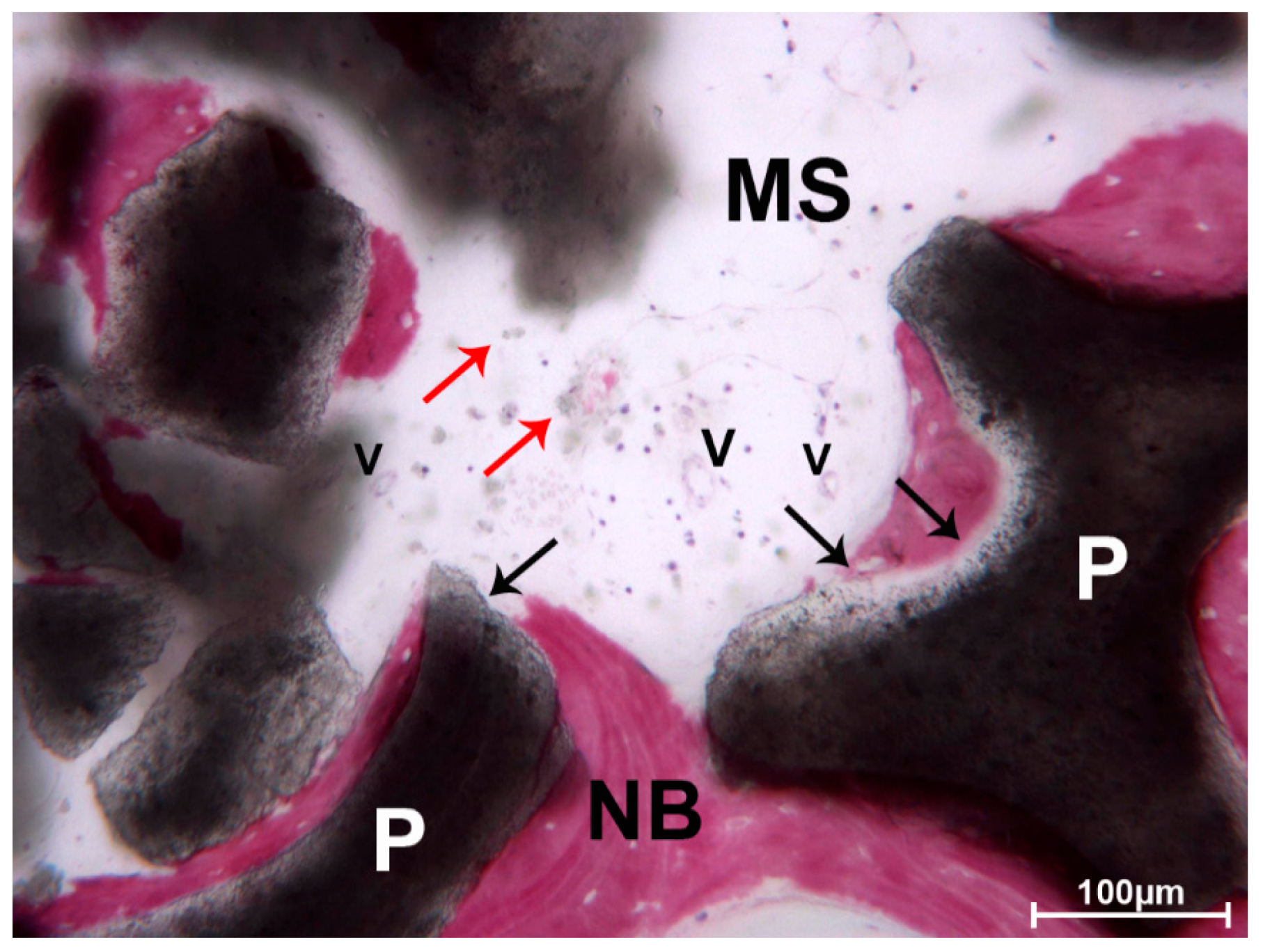 Materials 13 05520 g008 Materials 13 05520 g008