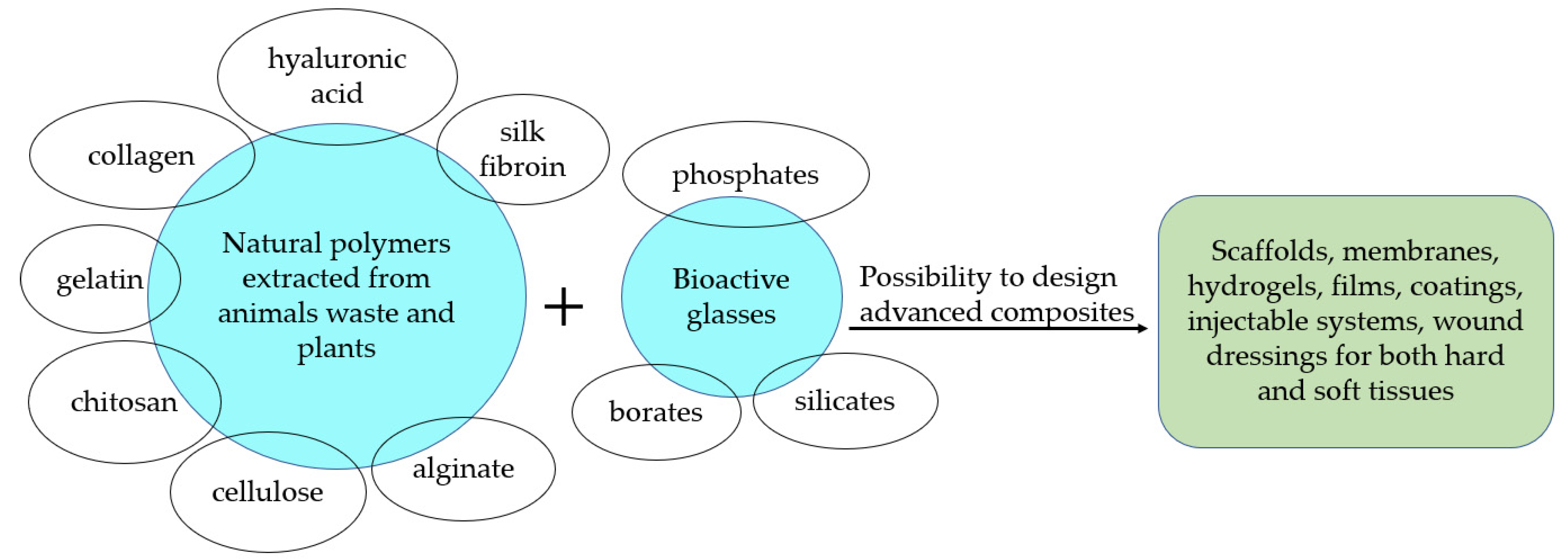 Materials | Free Full-Text | A Review of Bioactive Glass/Natural Polymer  Composites: State of the Art
