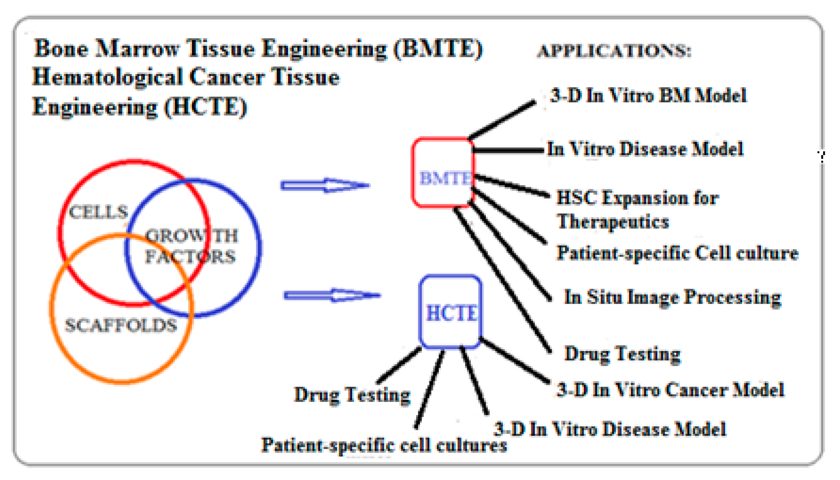 Materials 13 05609 g002