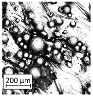 Materials 13 05662 i011