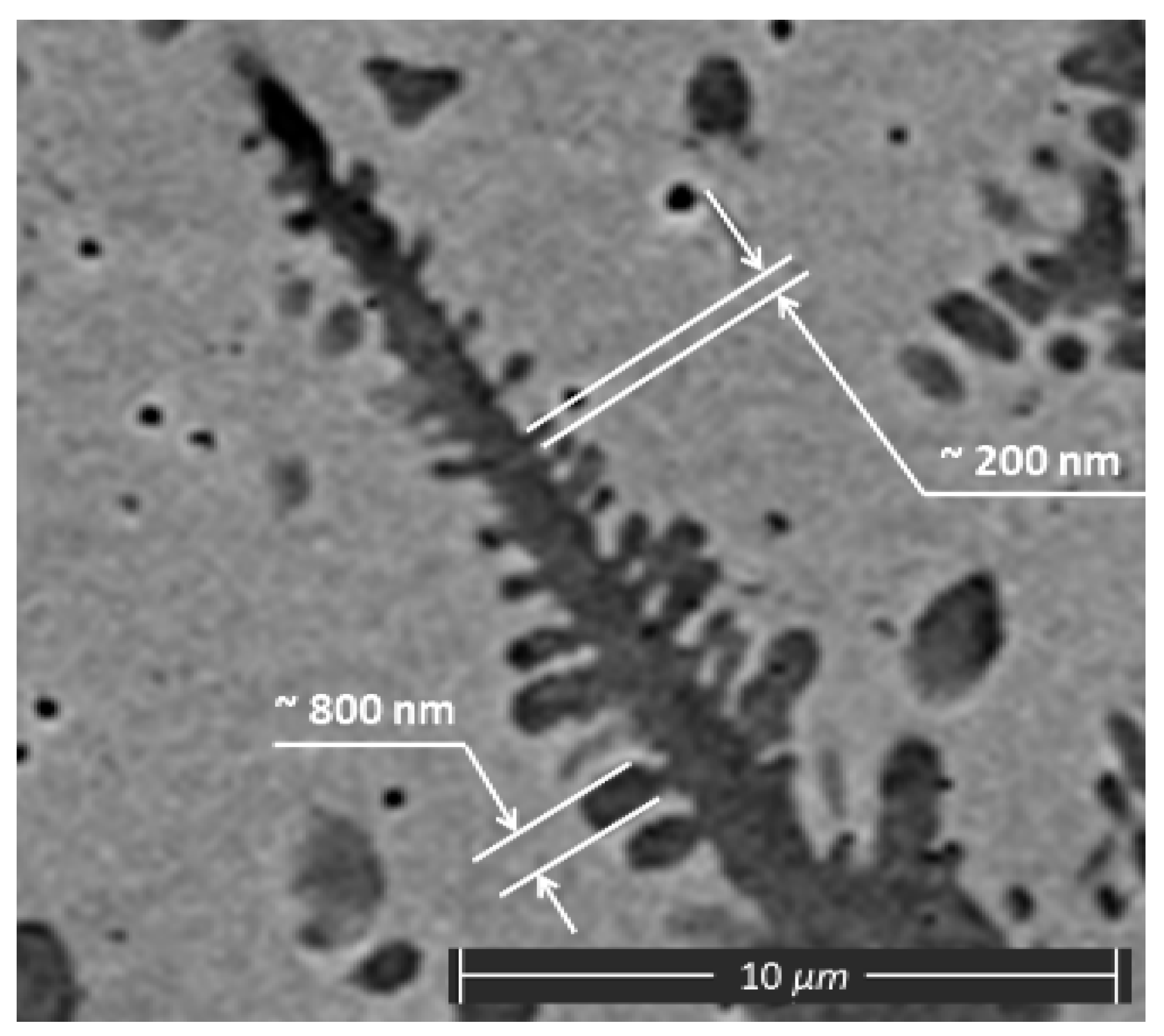 Materials 13 05665 g012