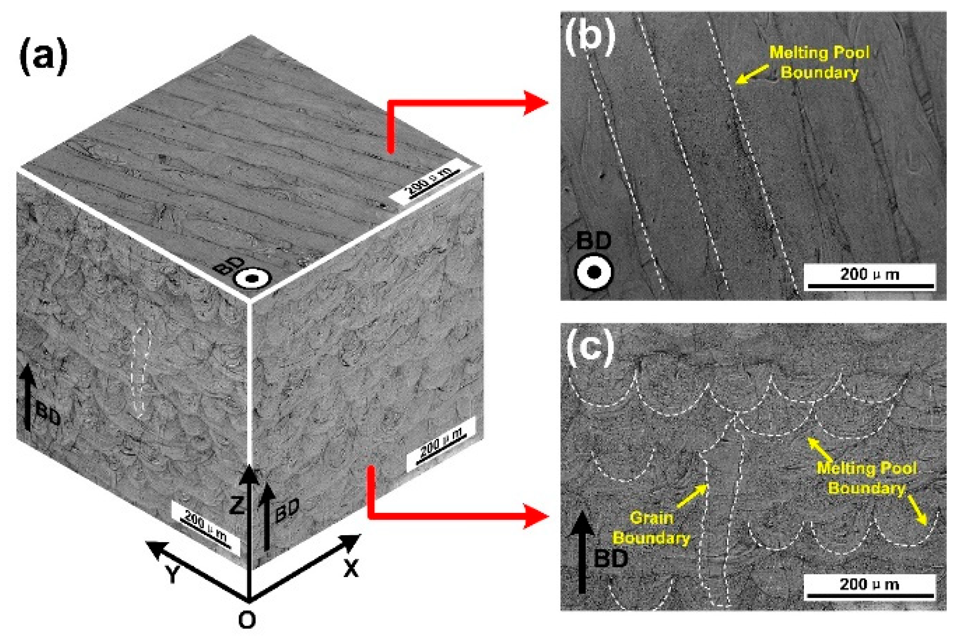 Materials 13 05687 g003