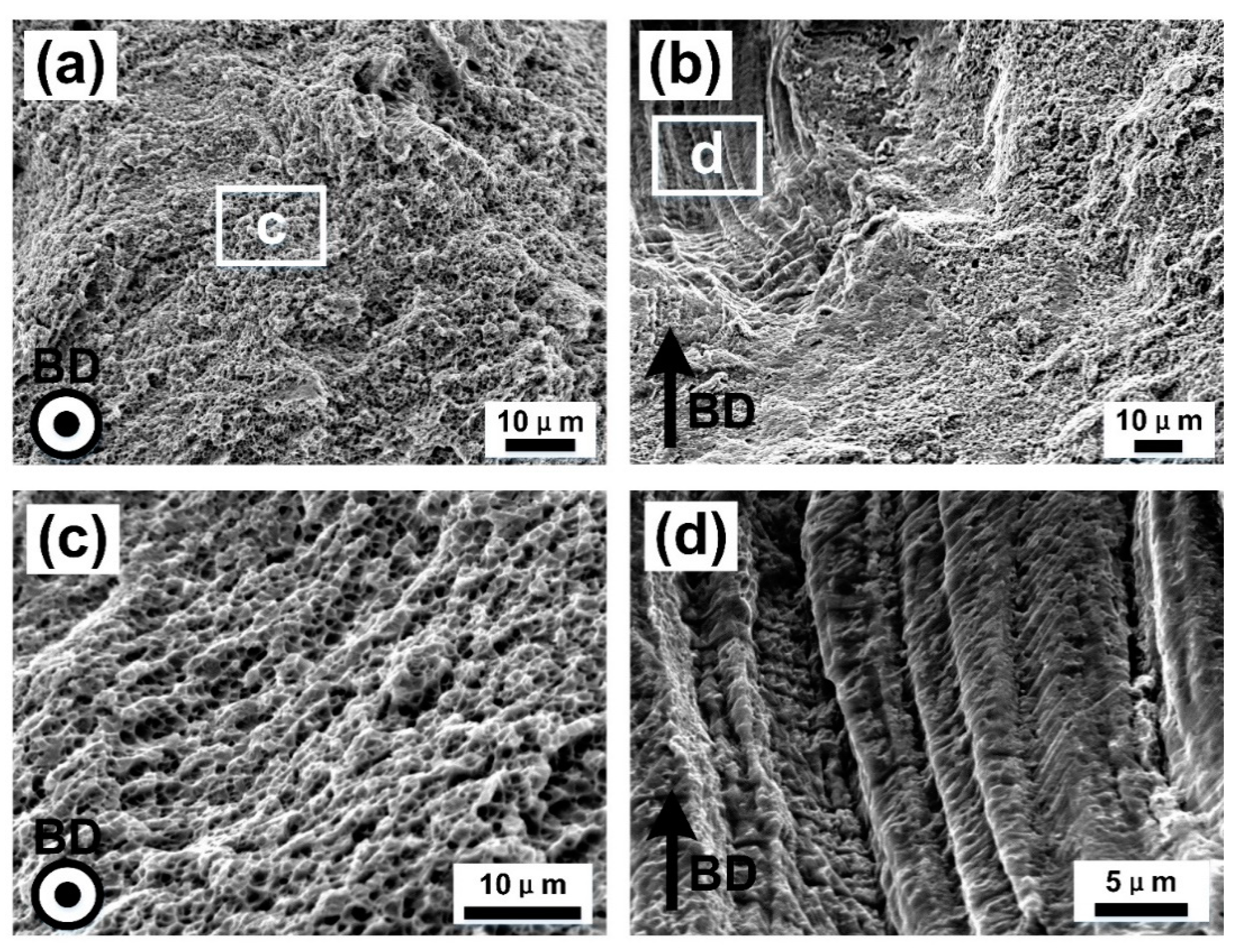 Materials 13 05687 g010