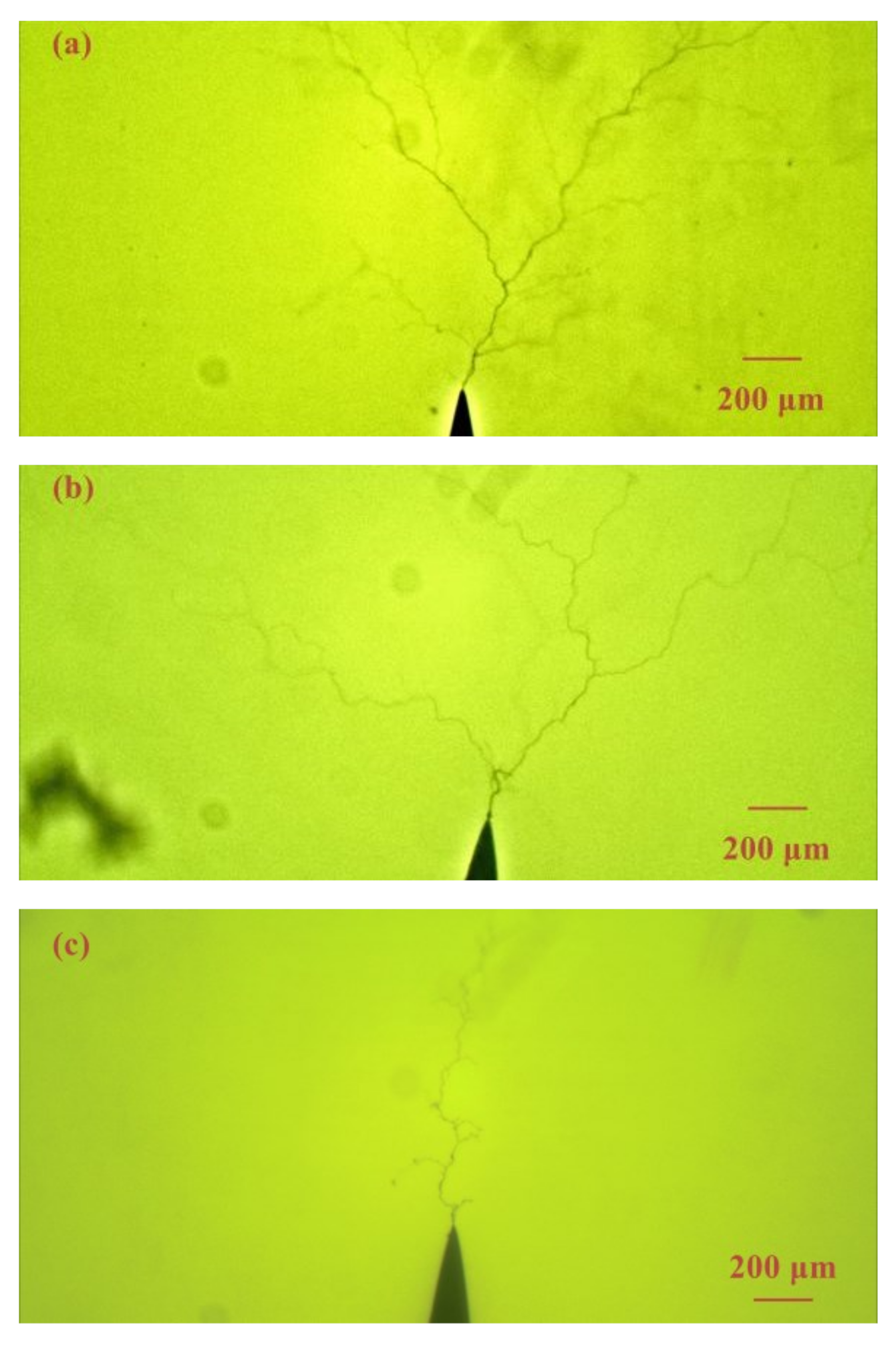 Materials 13 05722 g003