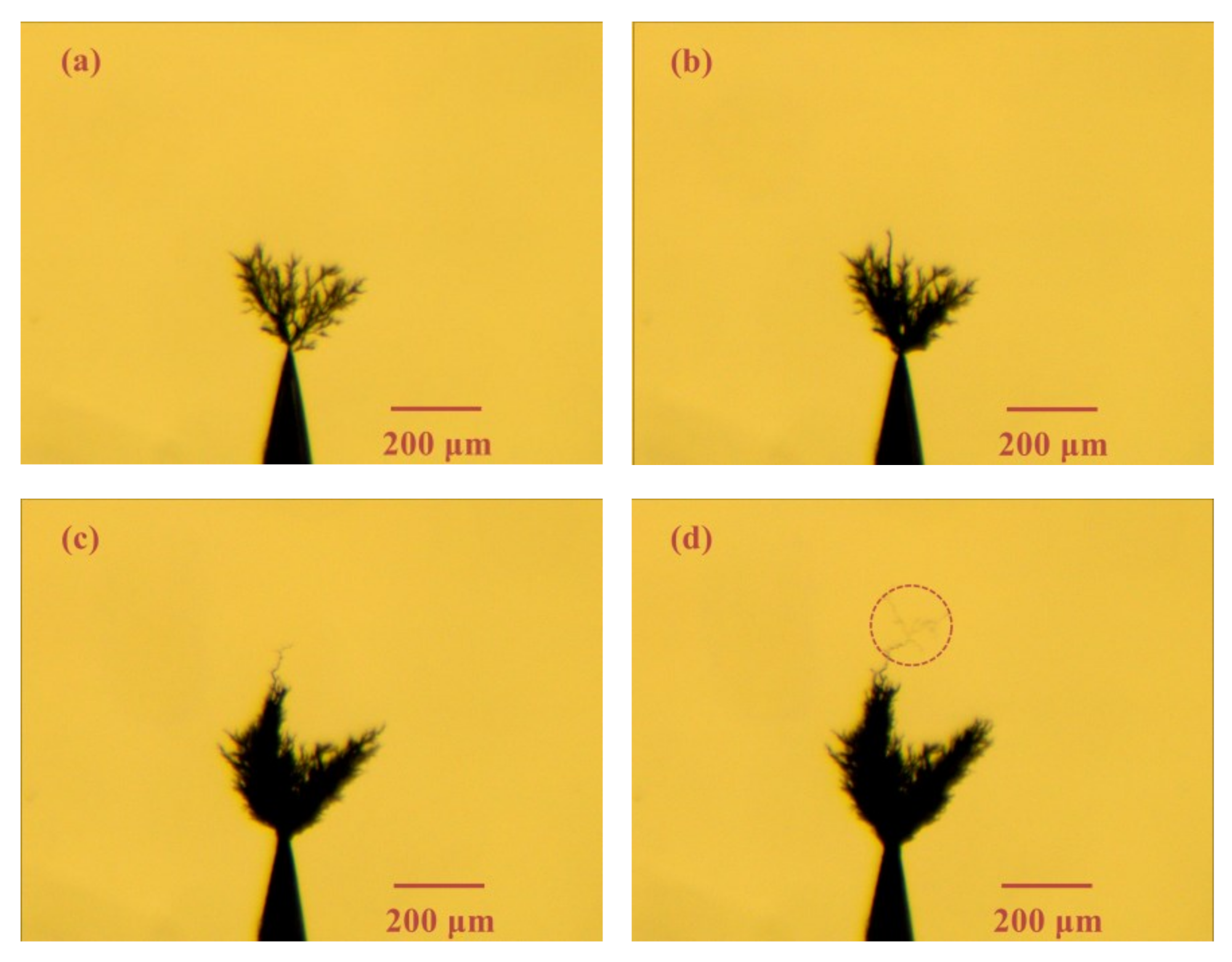 Materials 13 05722 g005