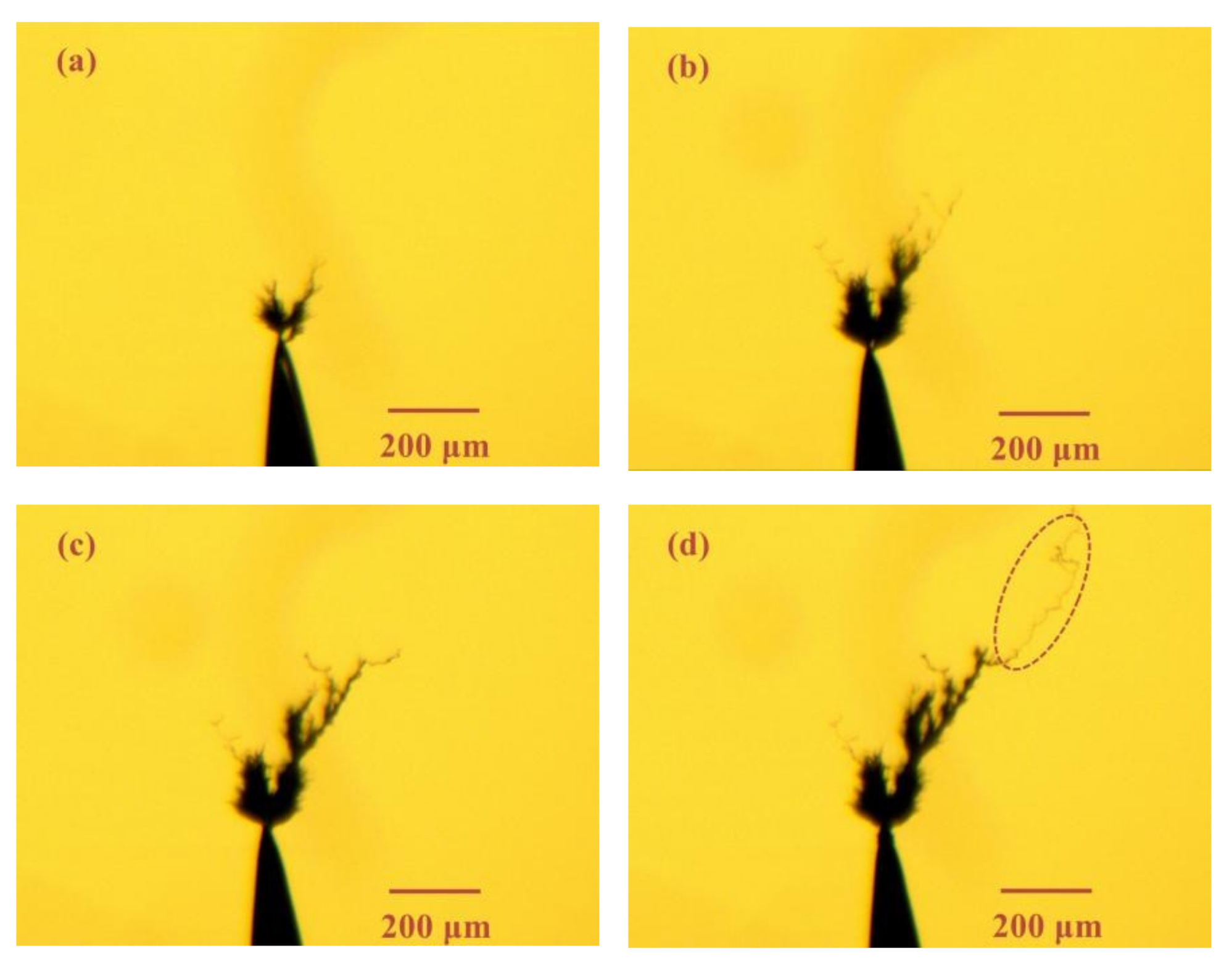 Materials 13 05722 g006