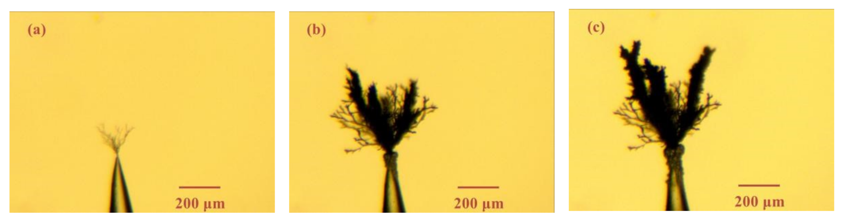 Materials 13 05722 g008