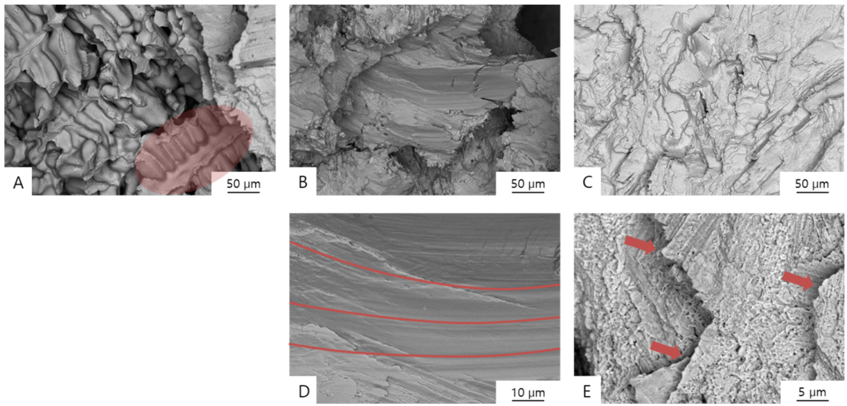 Materials 13 05745 g007 Materials 13 05745 g007