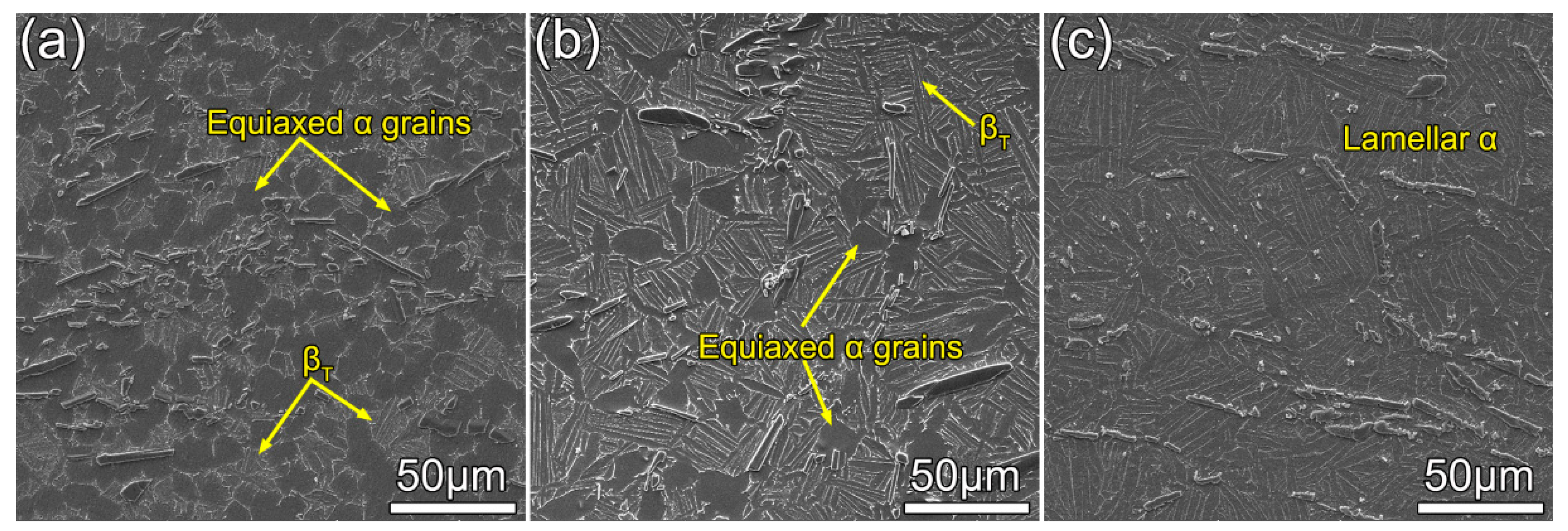 Materials 13 05751 g005