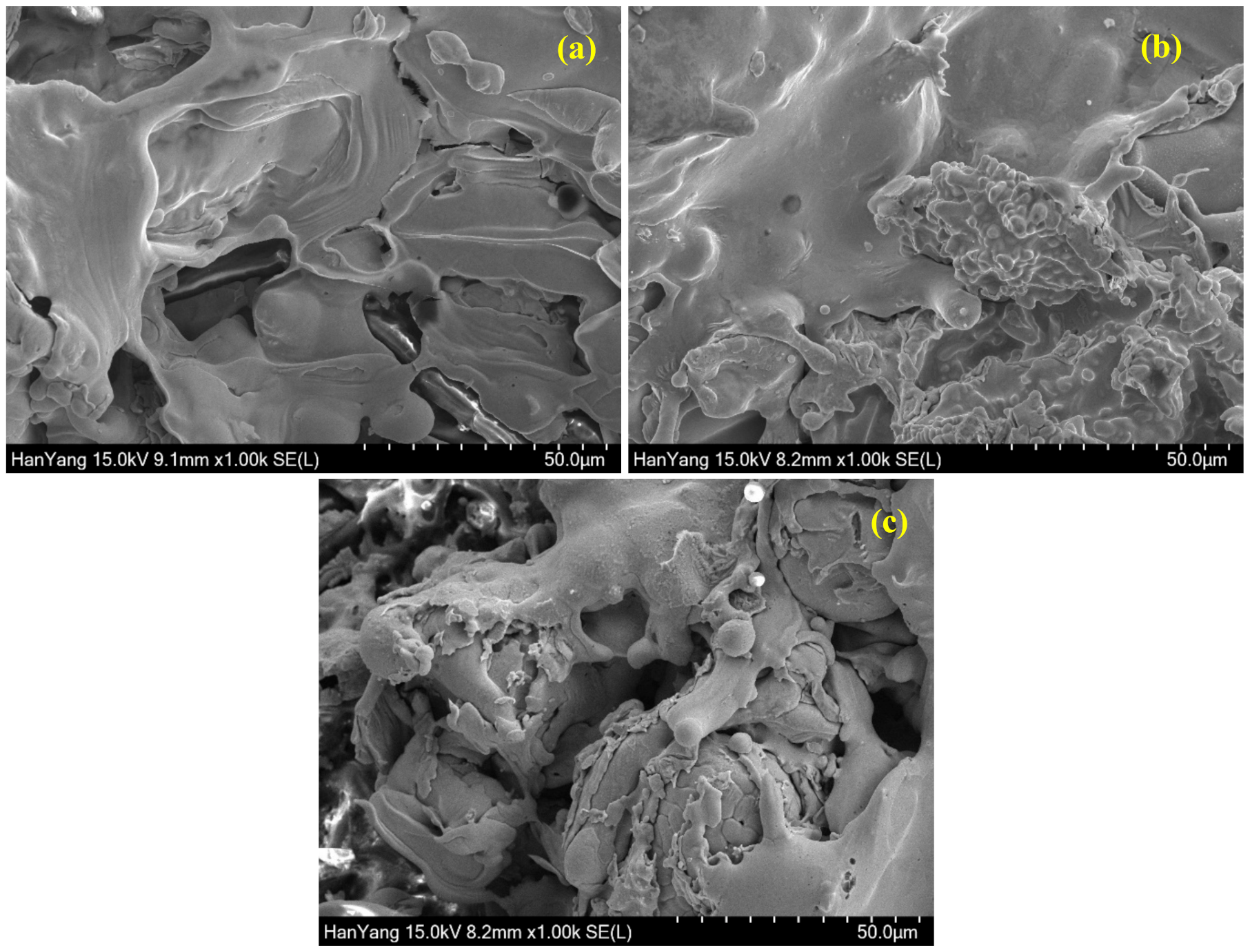 Materials 13 05776 g002