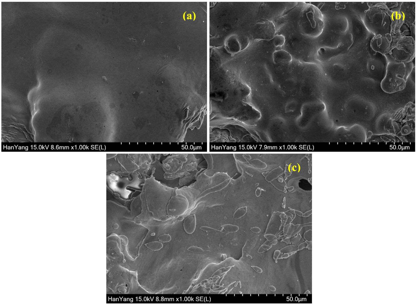 Materials 13 05776 g004