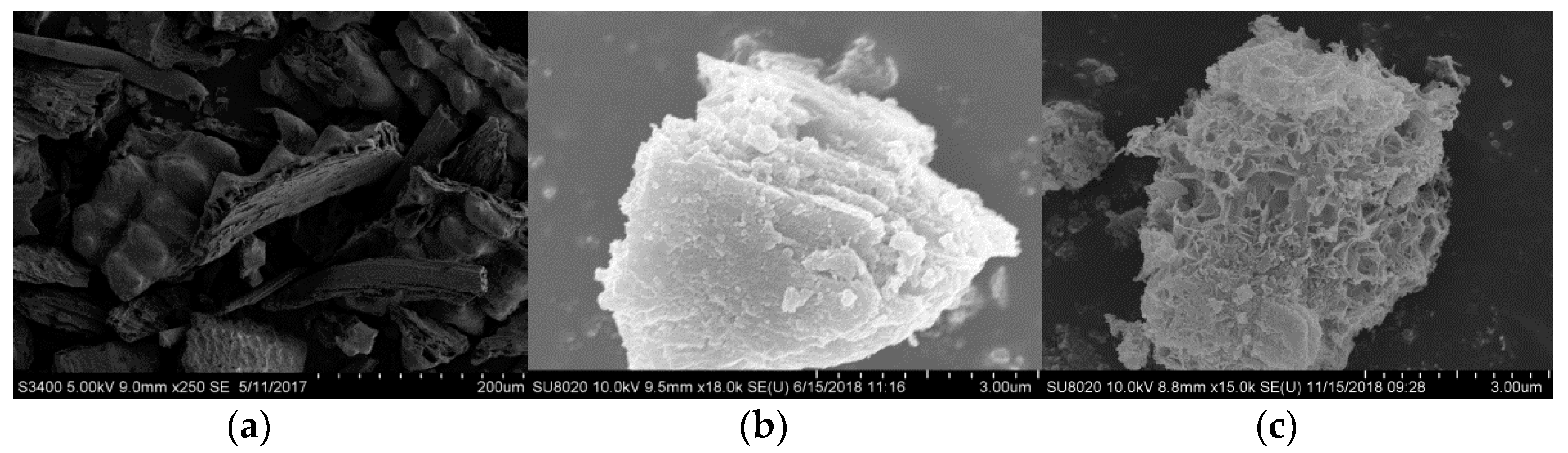 Materials 14 00068 g006