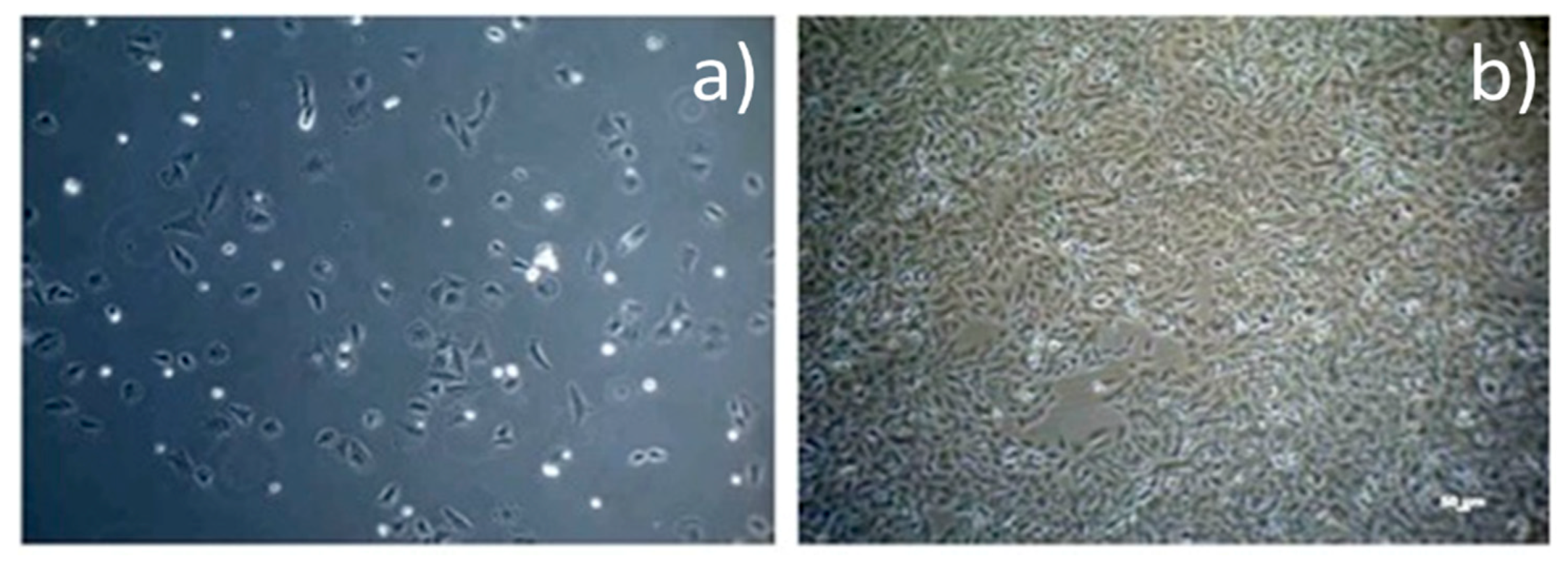 Materials 14 00084 g001 Materials 14 00084 g001