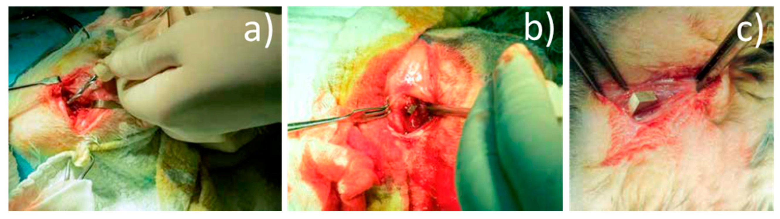 Materials 14 00084 g004 Materials 14 00084 g004