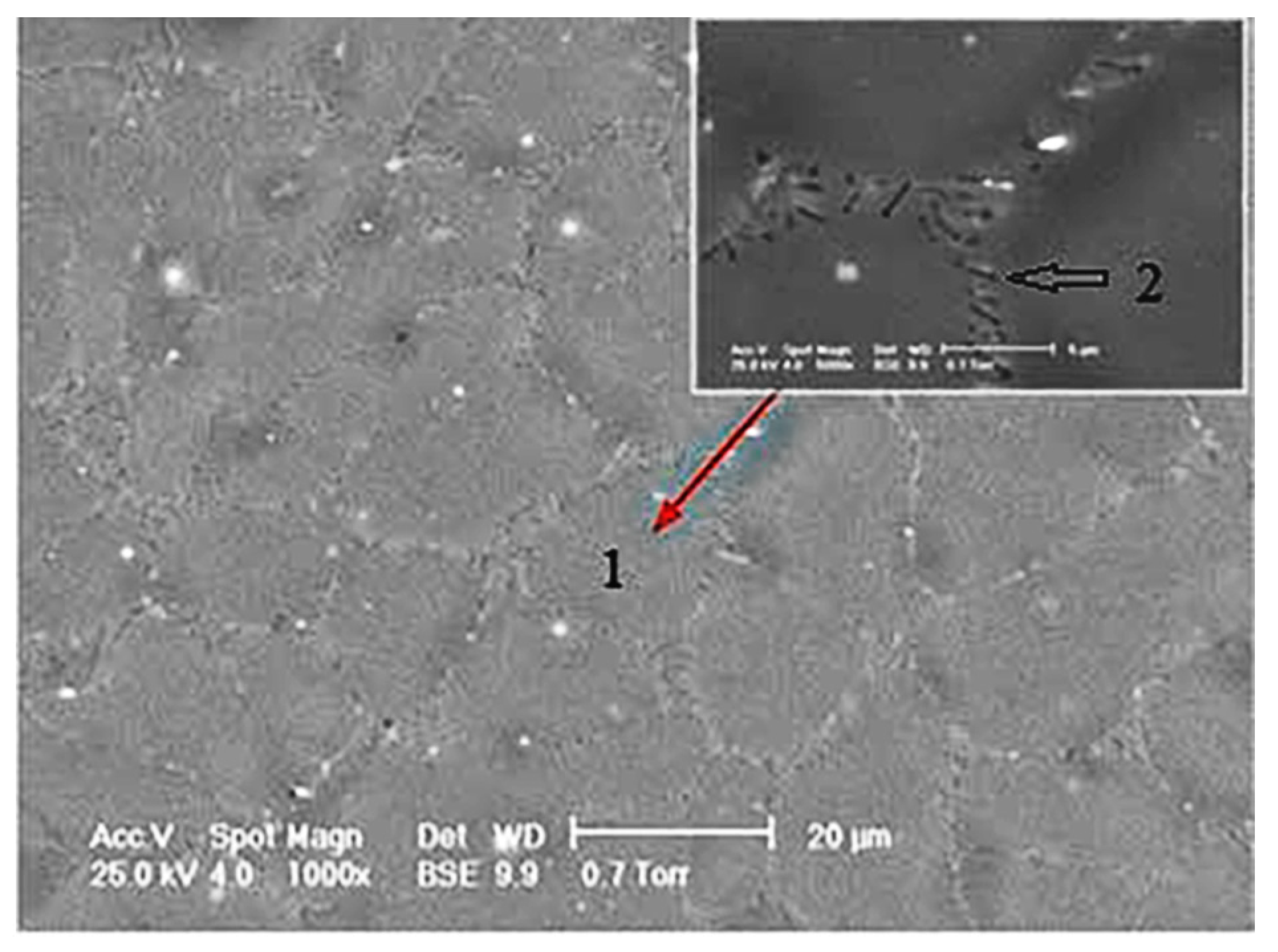 Materials 14 00084 g011 Materials 14 00084 g011