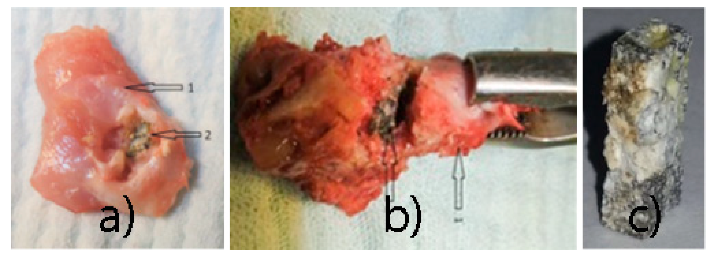 Materials 14 00084 g014 Materials 14 00084 g014