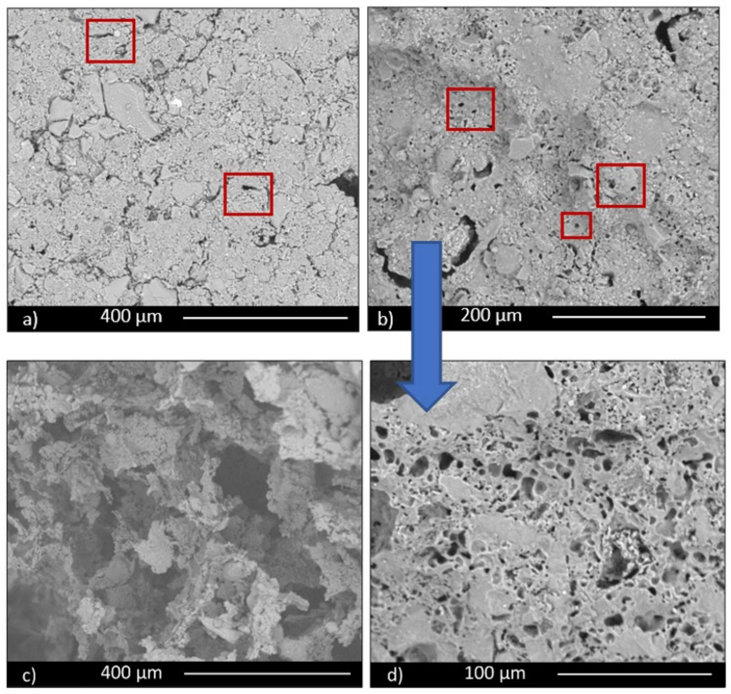 Cultivation on exterior of porous ceramics