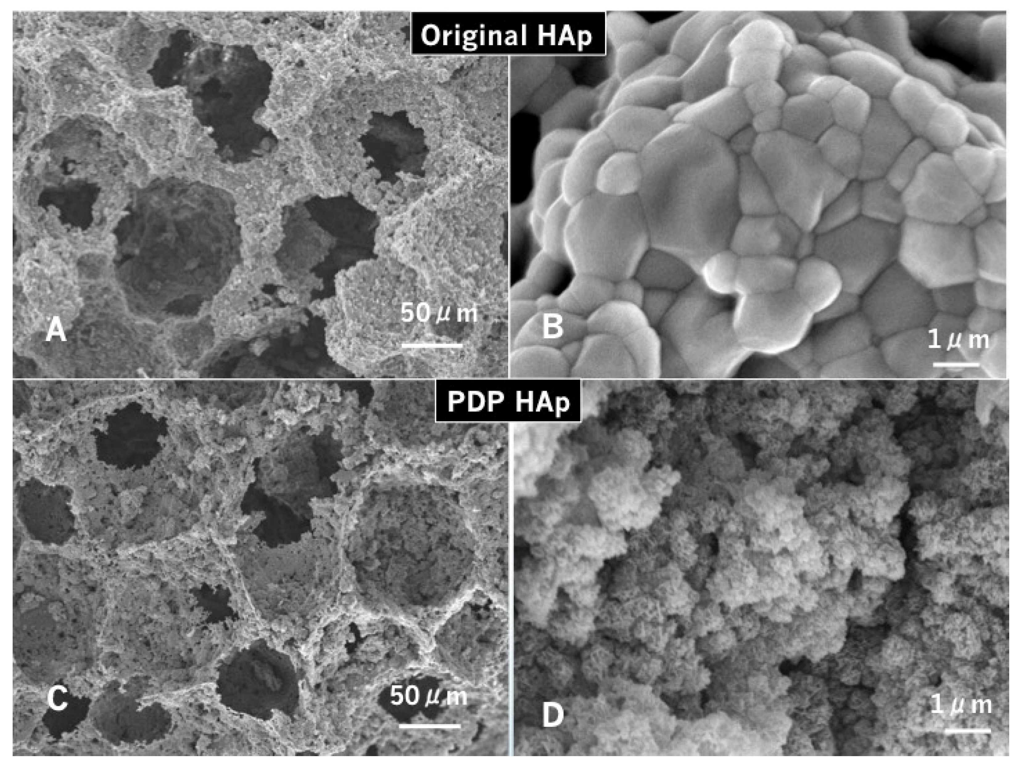 Materials 14 00196 g003 Materials 14 00196 g003