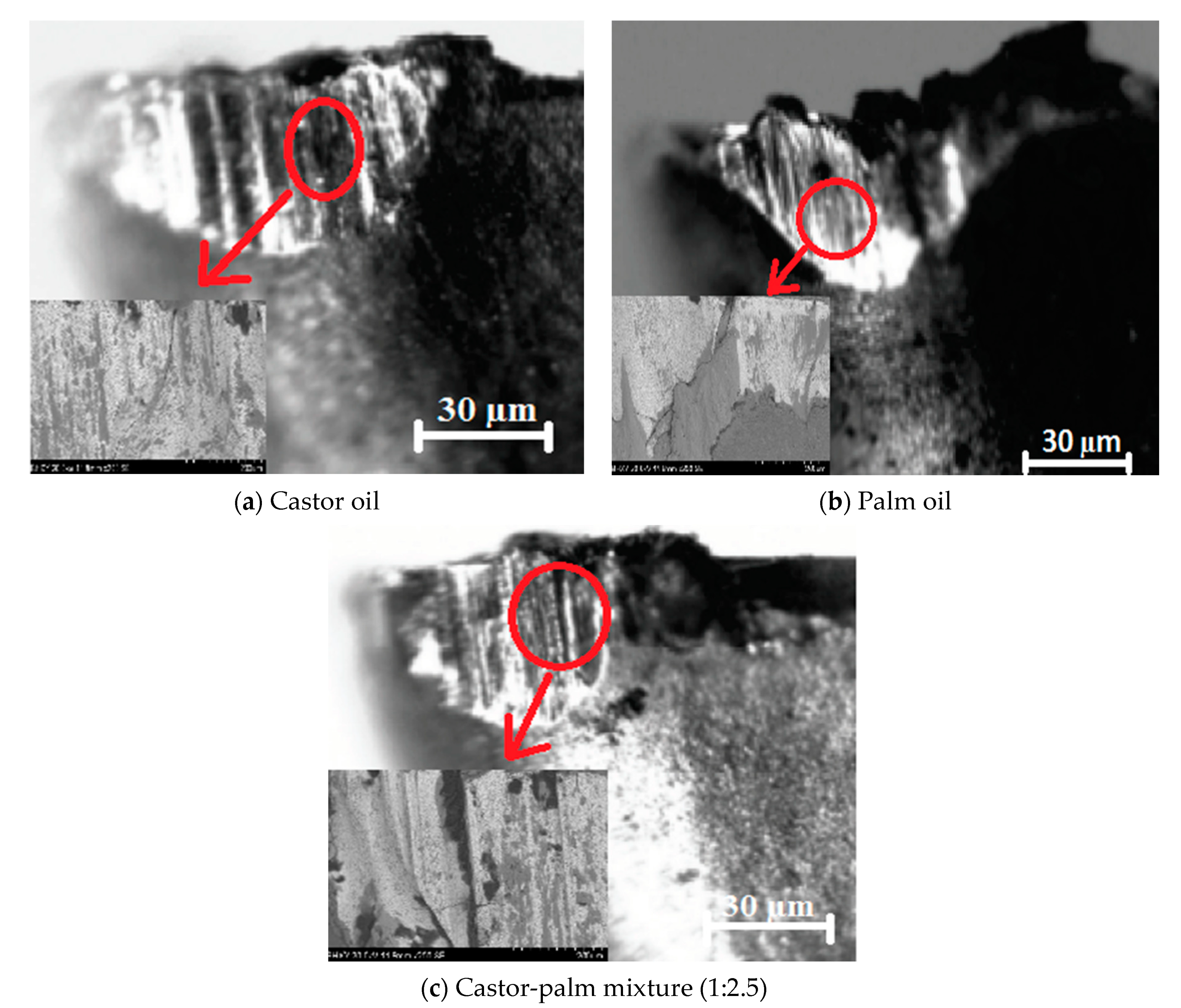 Materials 14 00198 g005 Materials 14 00198 g005