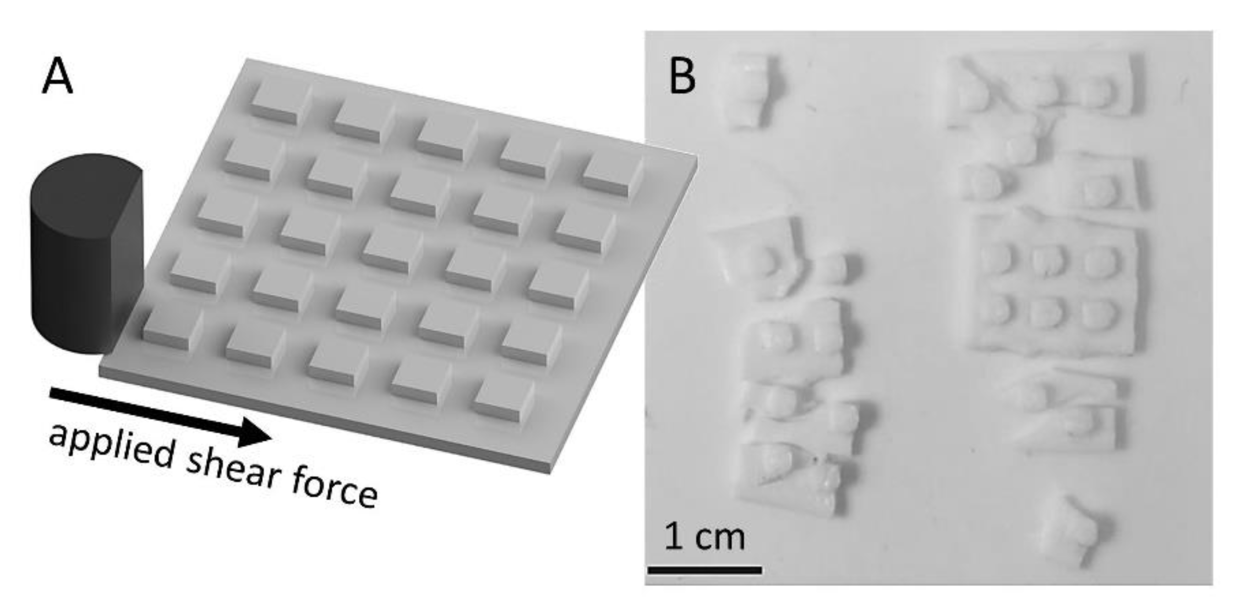 https://www.mdpi.com/materials/materials-14-00200/article_deploy/html/images/materials-14-00200-g002.png