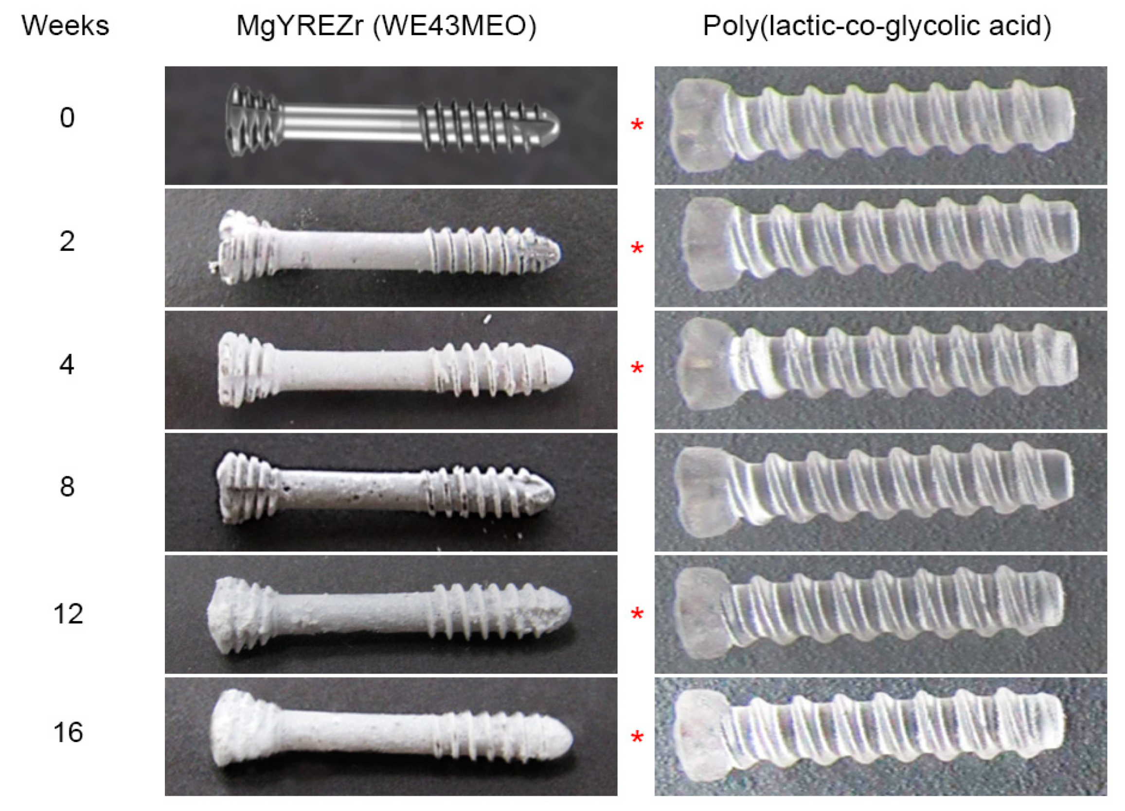 Materials | Free Full-Text | Change in Pull-Out Force during Resorption of  Magnesium Compression Screws for Osteosynthesis of Mandibular Condylar  Fractures
