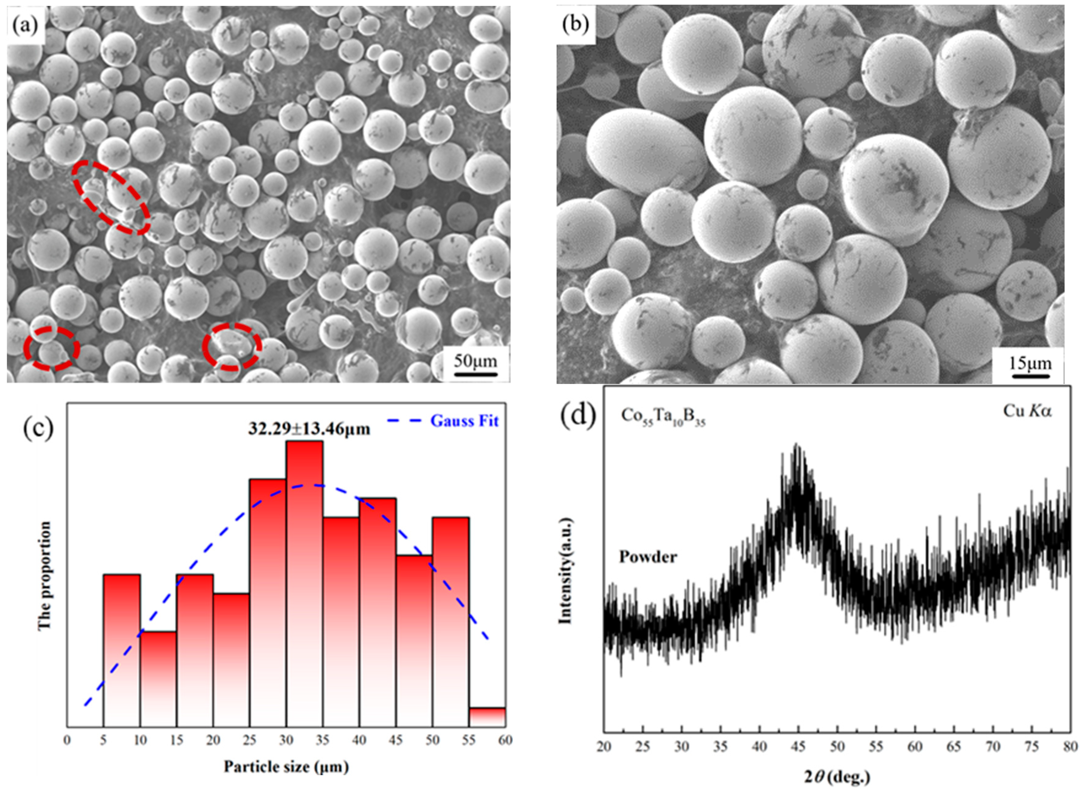 Materials 14 00279 g001