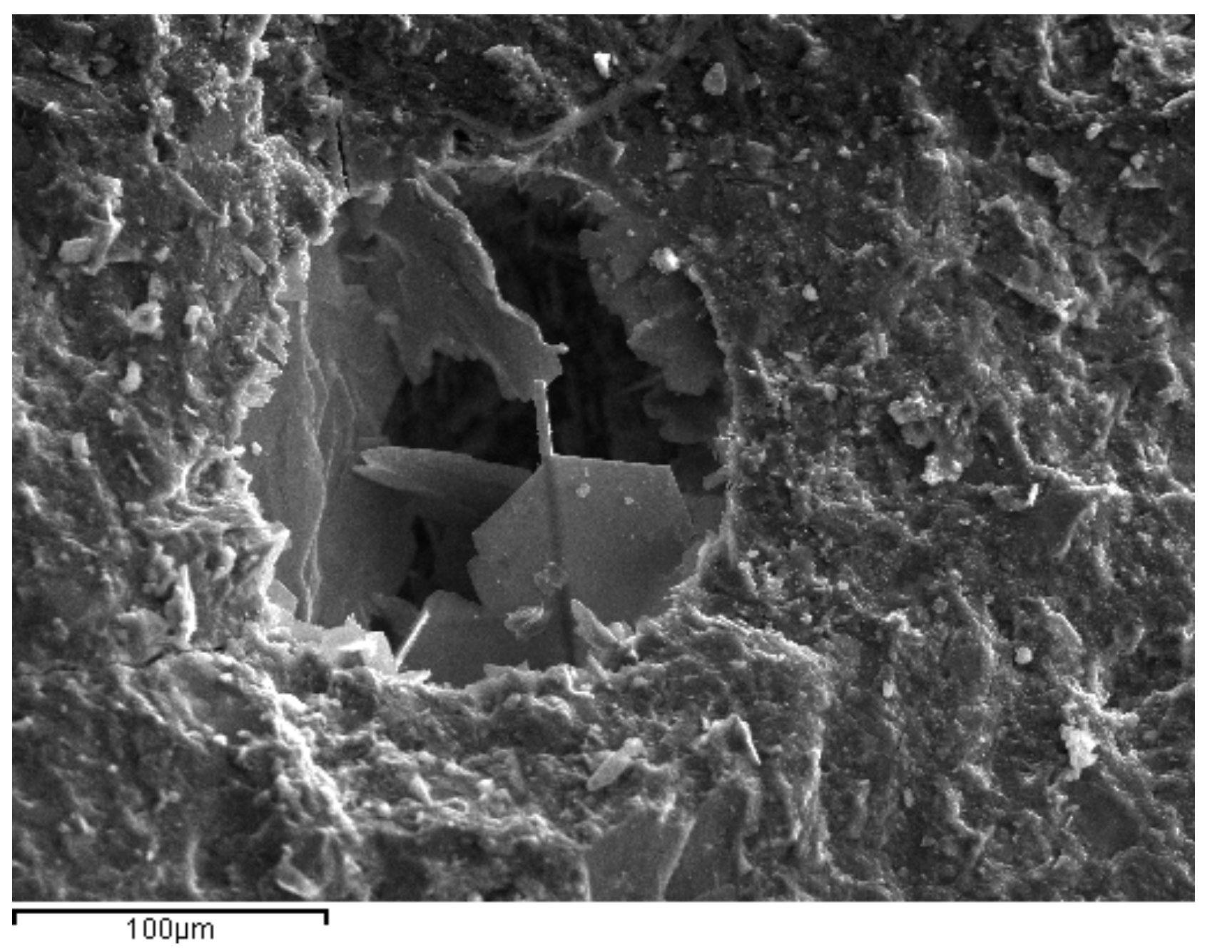 Materials 14 00301 g011