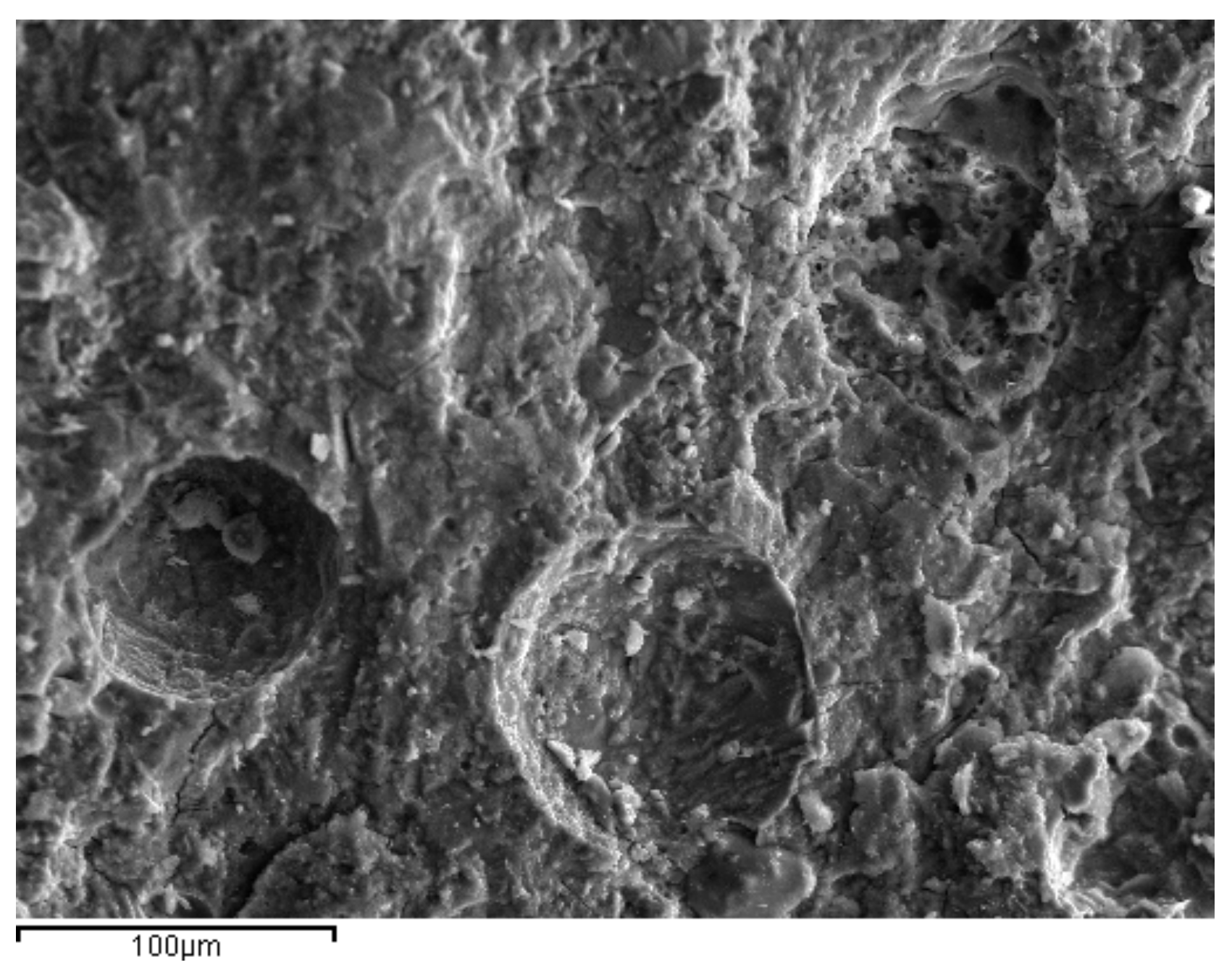 Materials 14 00301 g012