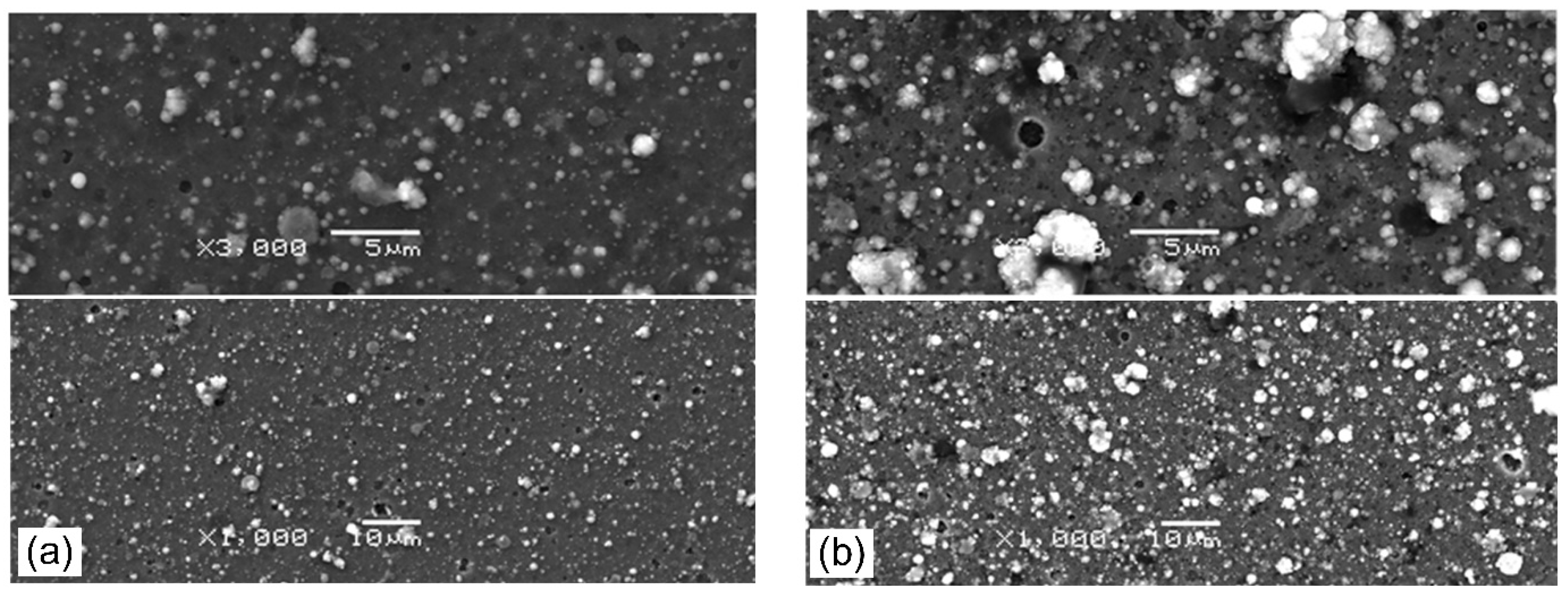 Materials 14 00304 g006