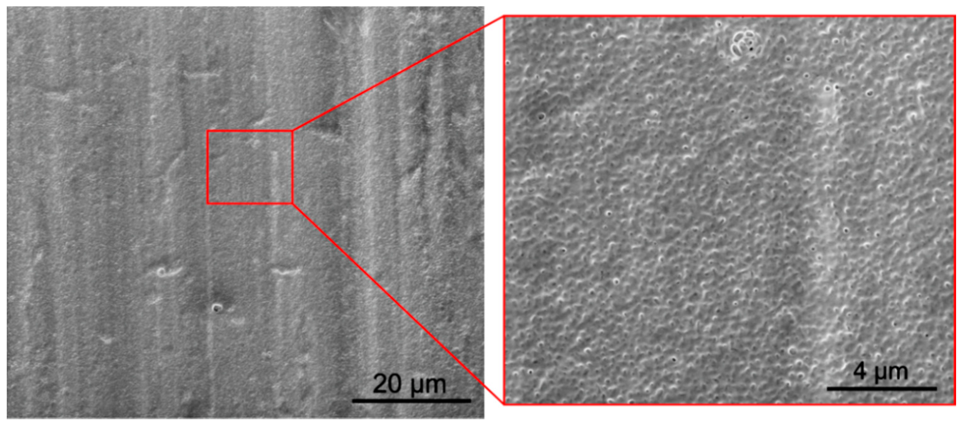 Materials 14 00312 g006