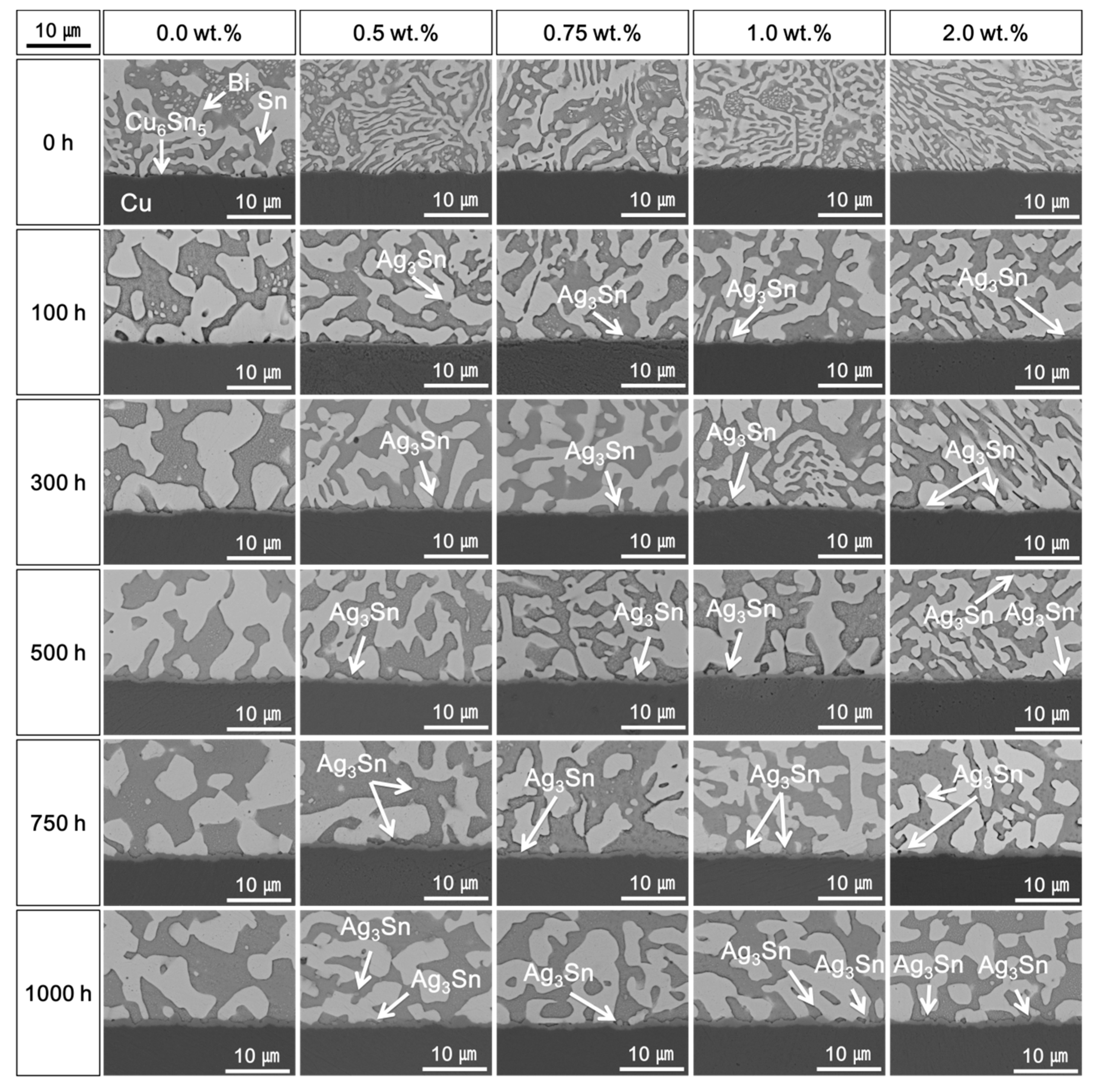 Materials 14 00335 g002
