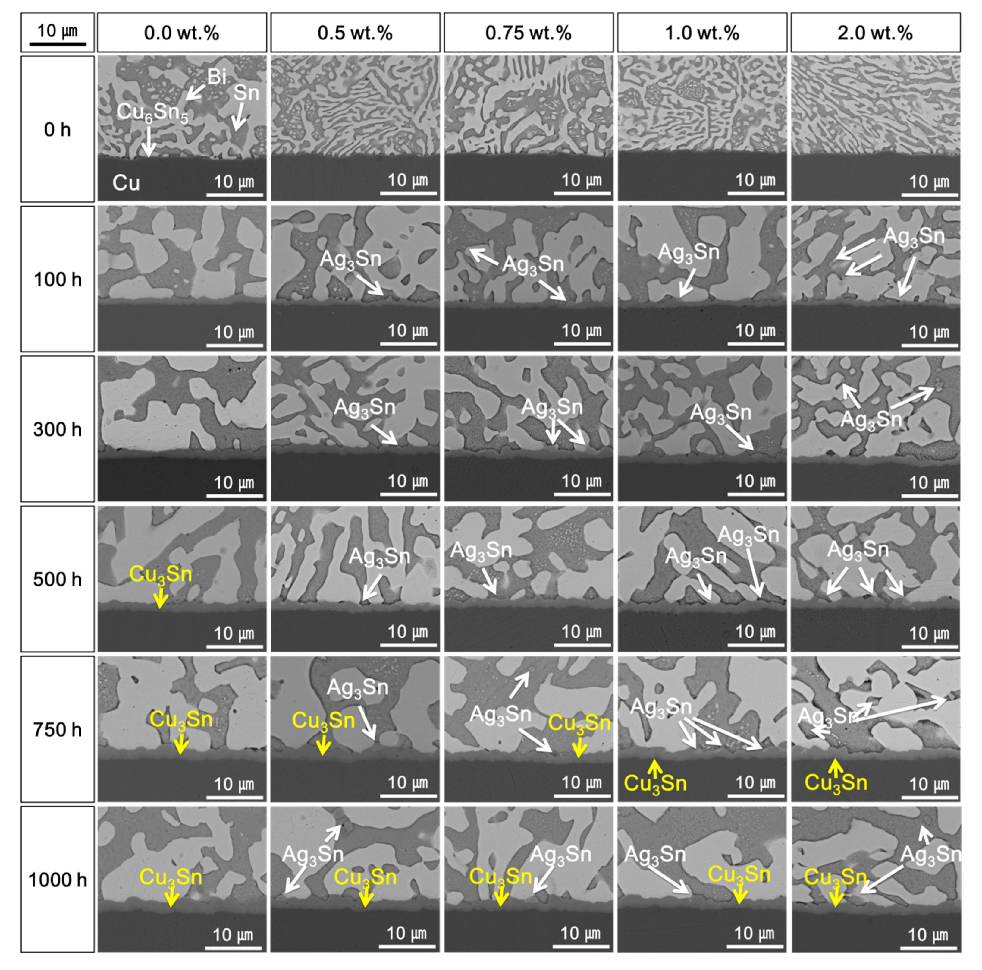 Materials 14 00335 g003