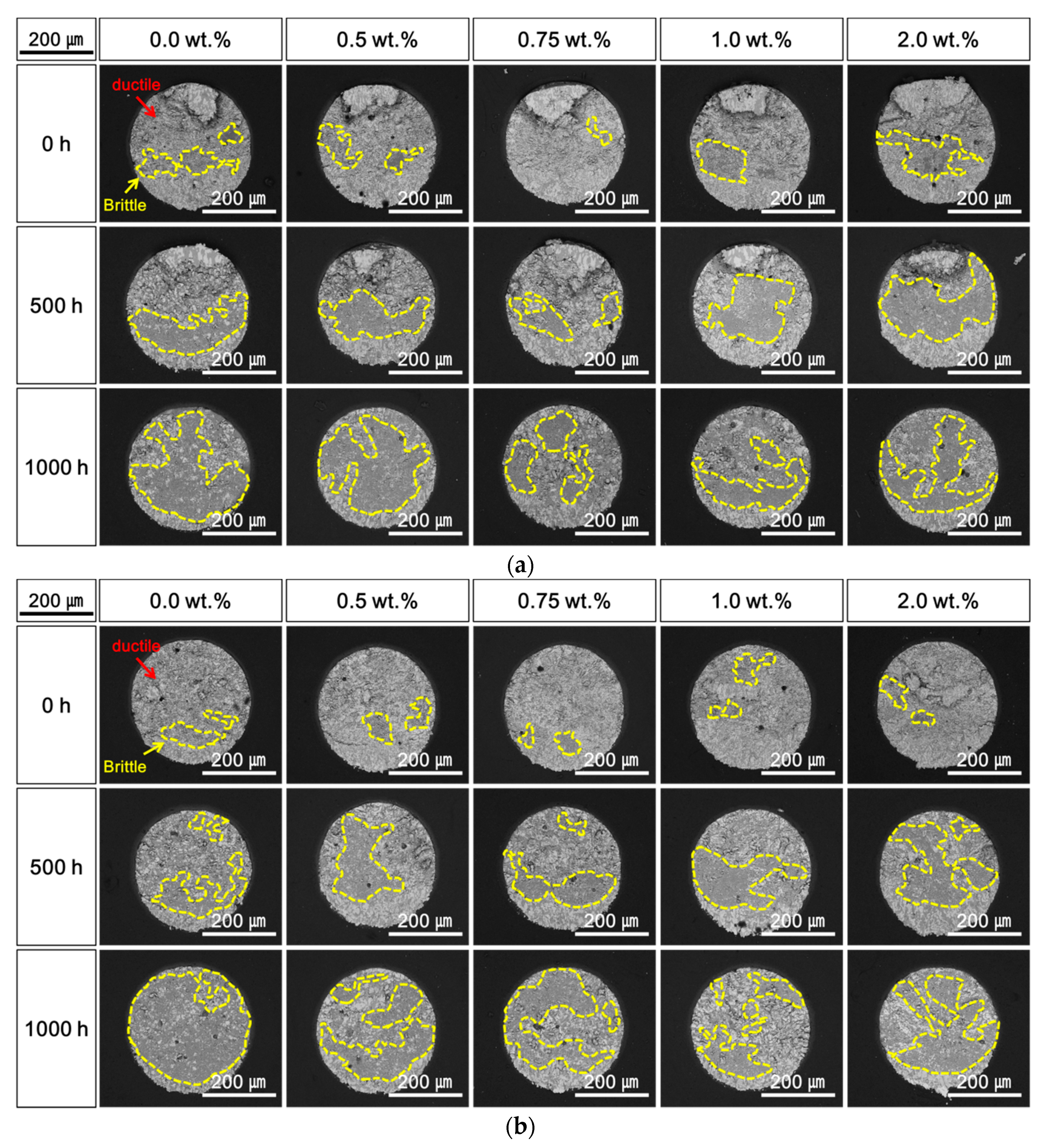 Materials 14 00335 g010