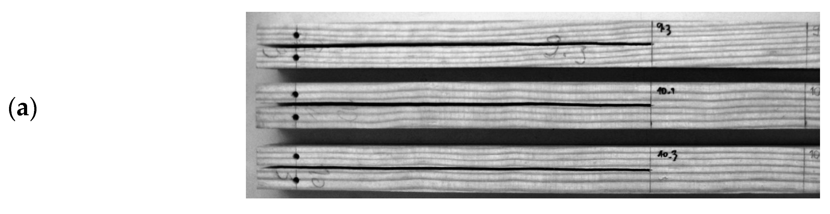 Materials 14 00374 g002a