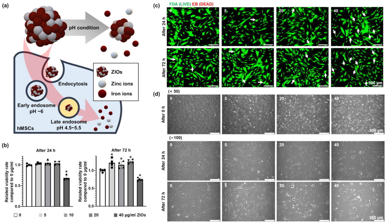 Materials 14 00412 g002 Materials 14 00412 g002