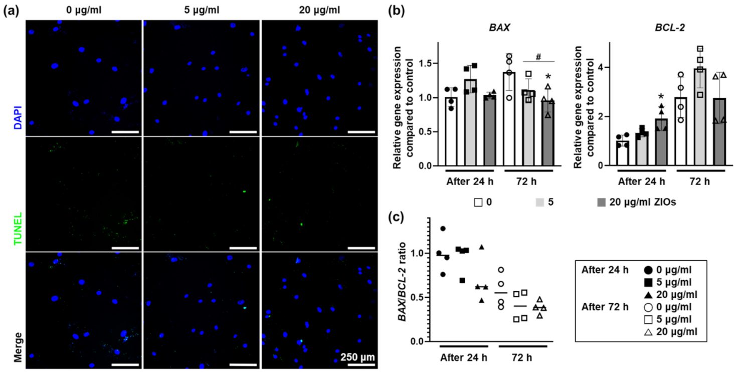Materials 14 00412 g003 Materials 14 00412 g003