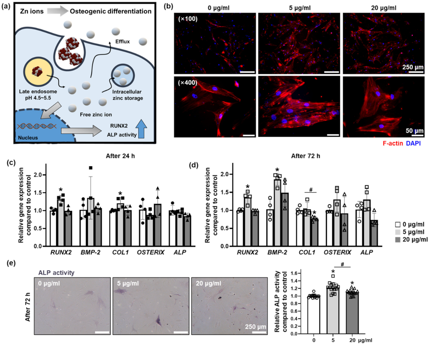 Materials 14 00412 g004 Materials 14 00412 g004