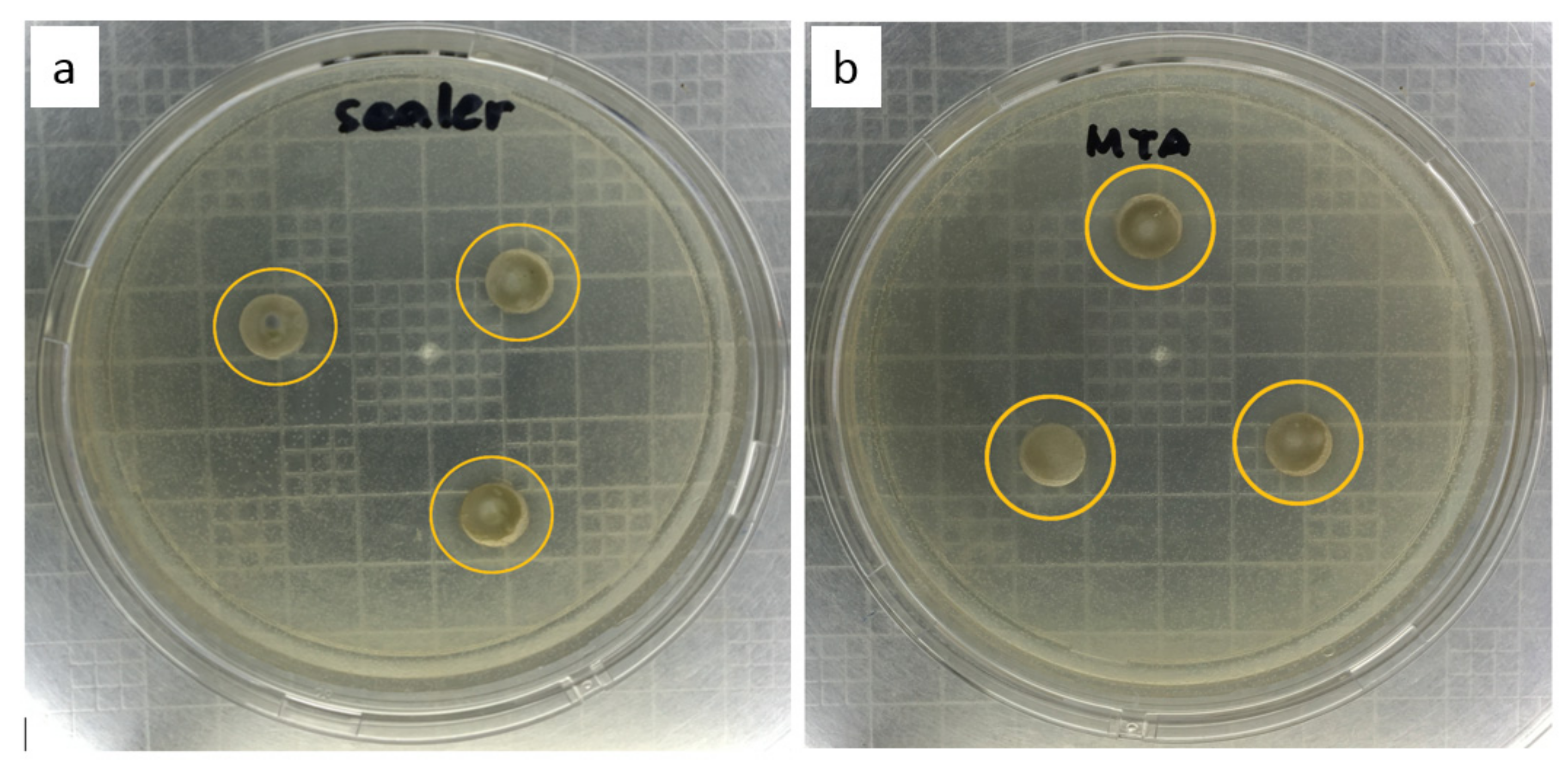 Materials 14 00417 g003