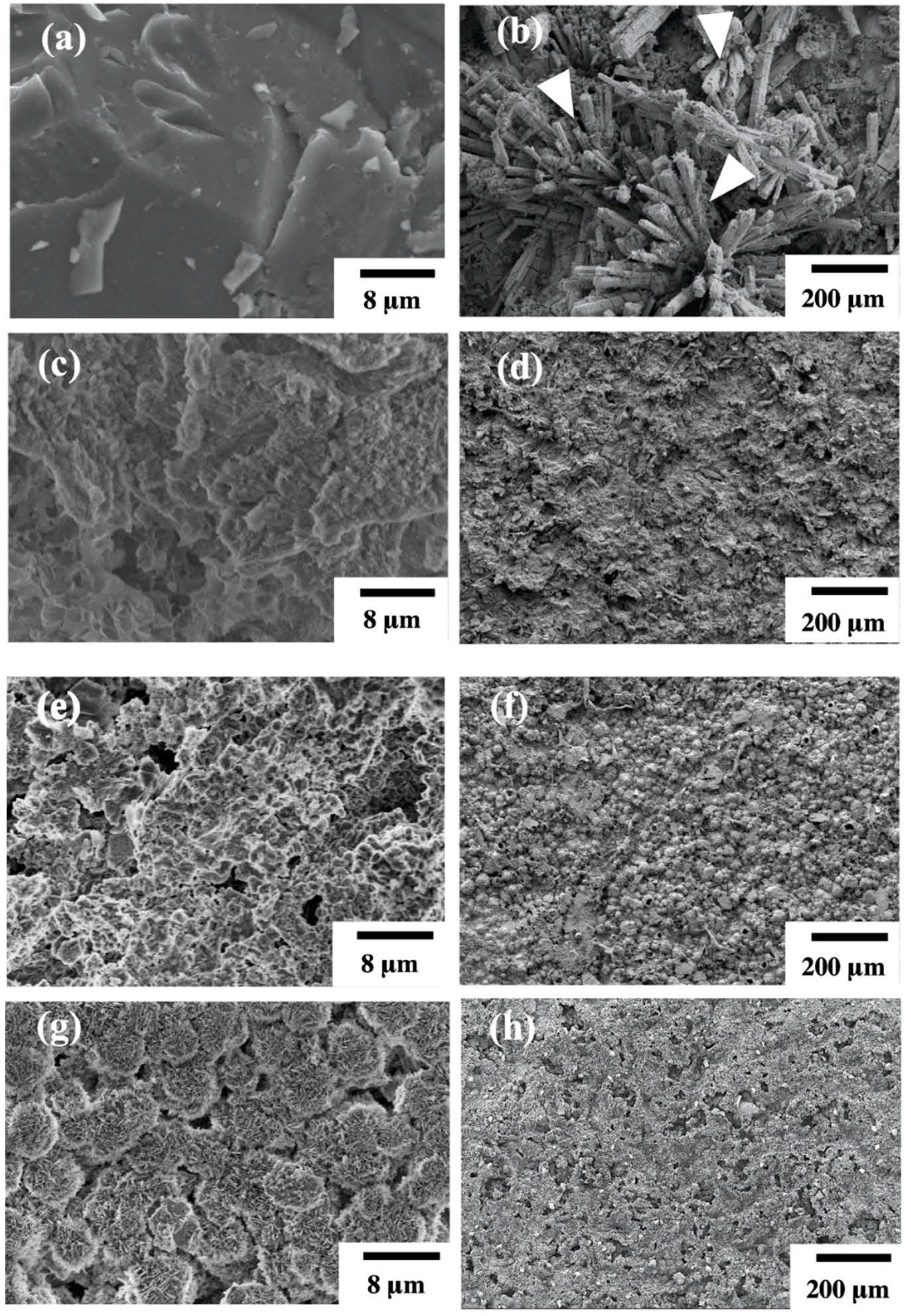 Materials 14 00441 g001