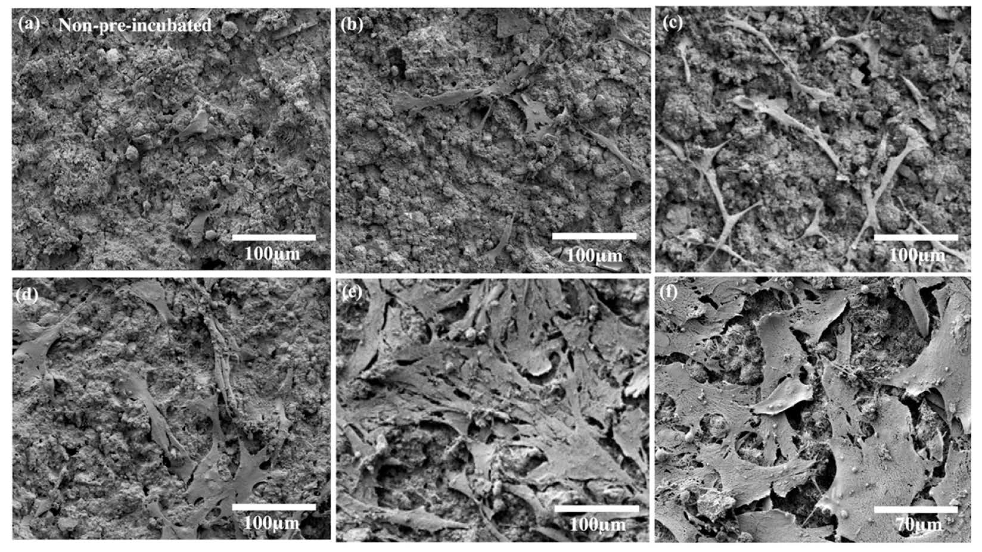 Materials 14 00441 g005