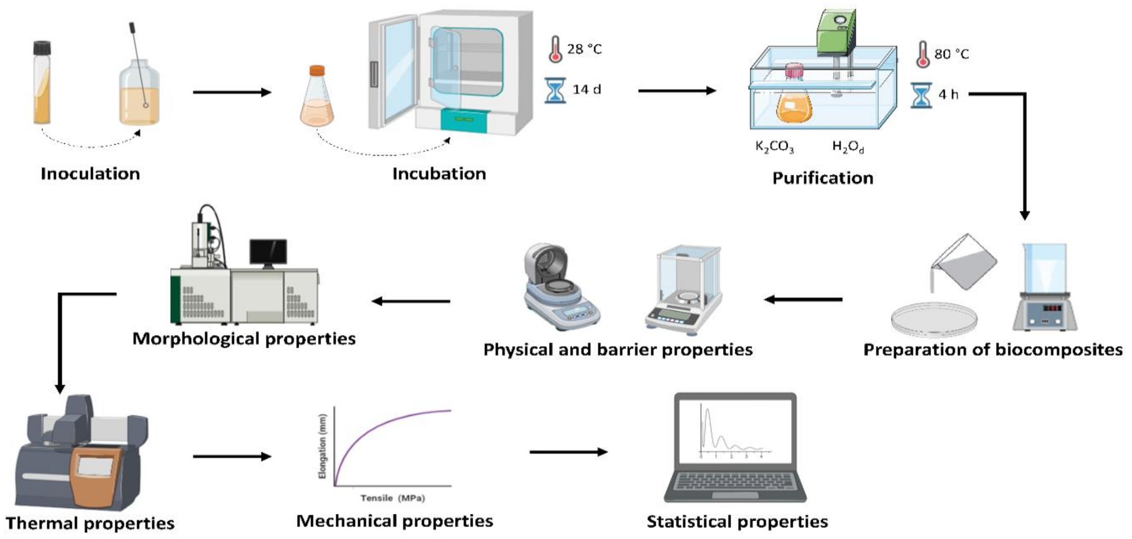 Materials 14 00458 g001